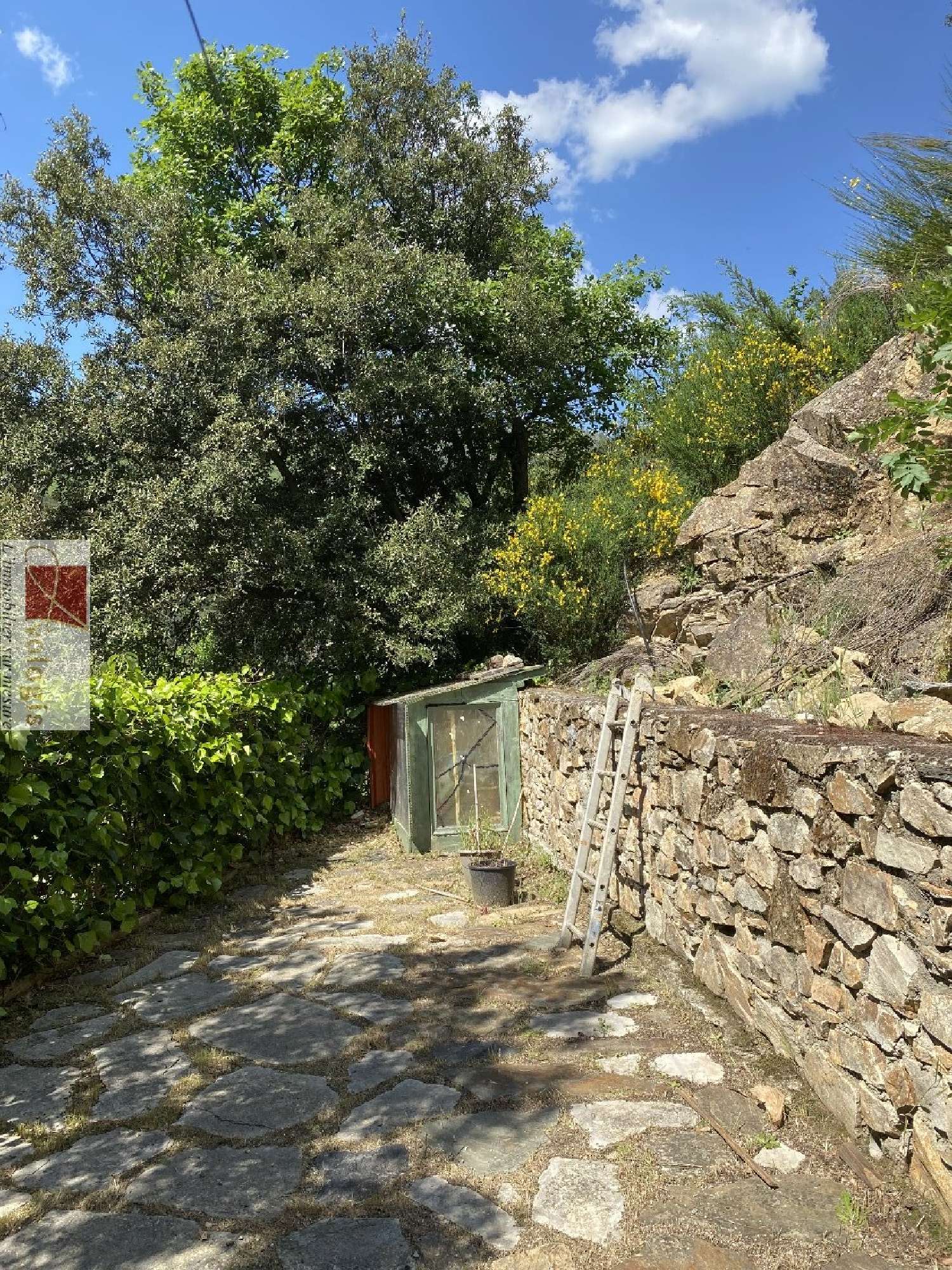  te koop huis Notre-Dame-de-la-Rouvière Gard 6