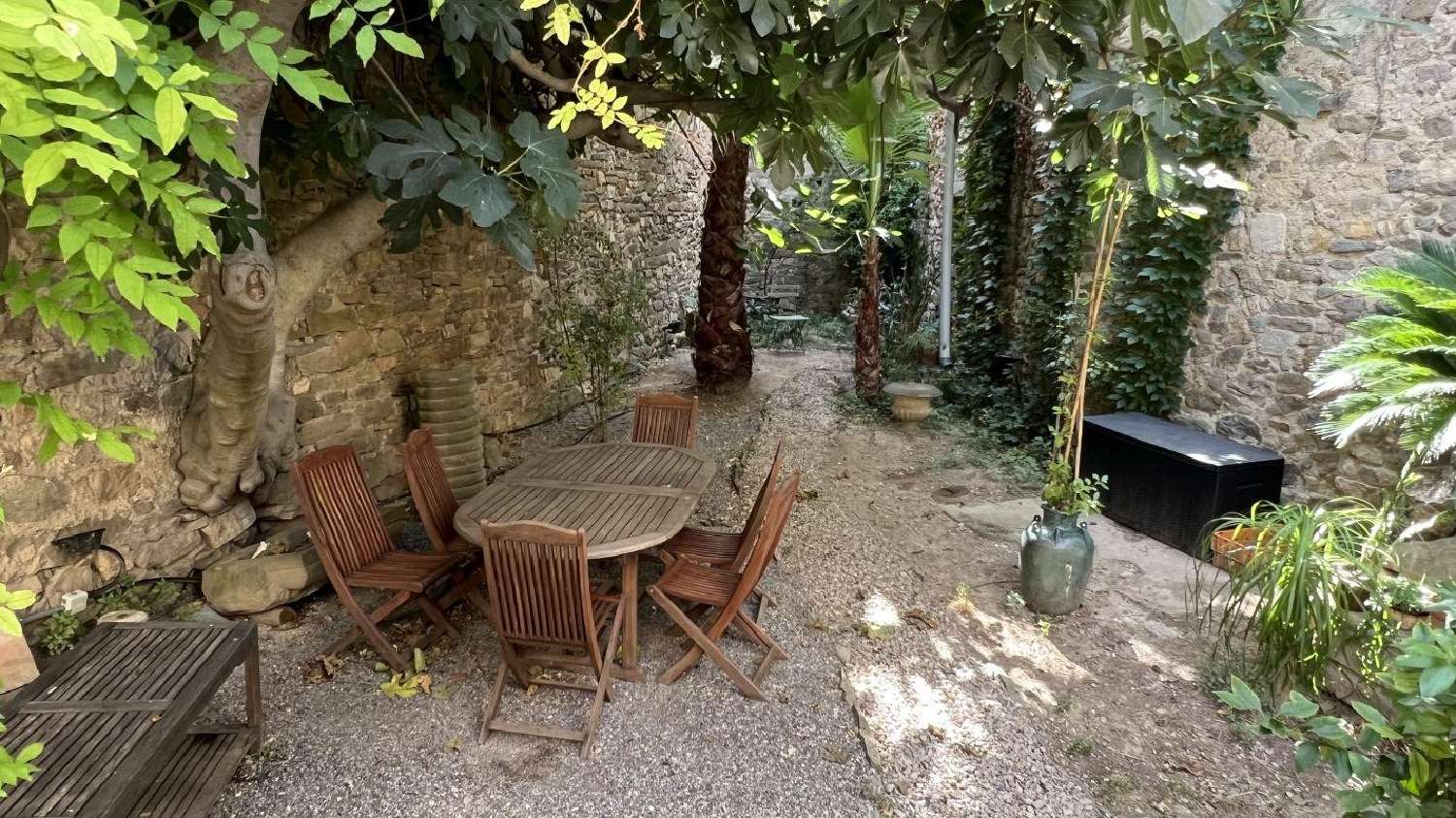  te koop huis Olonzac Hérault 1