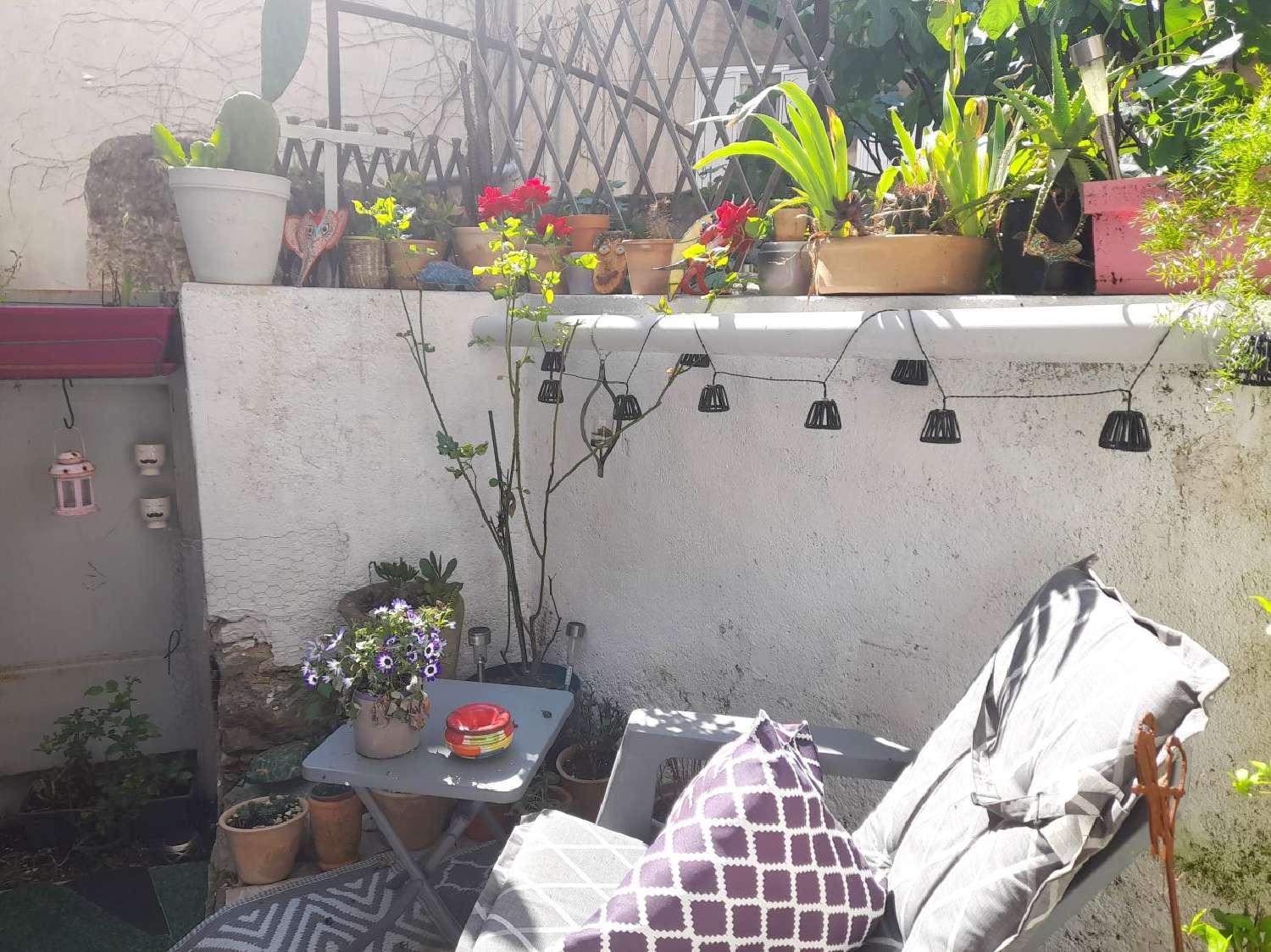  te koop huis Olonzac Hérault 1