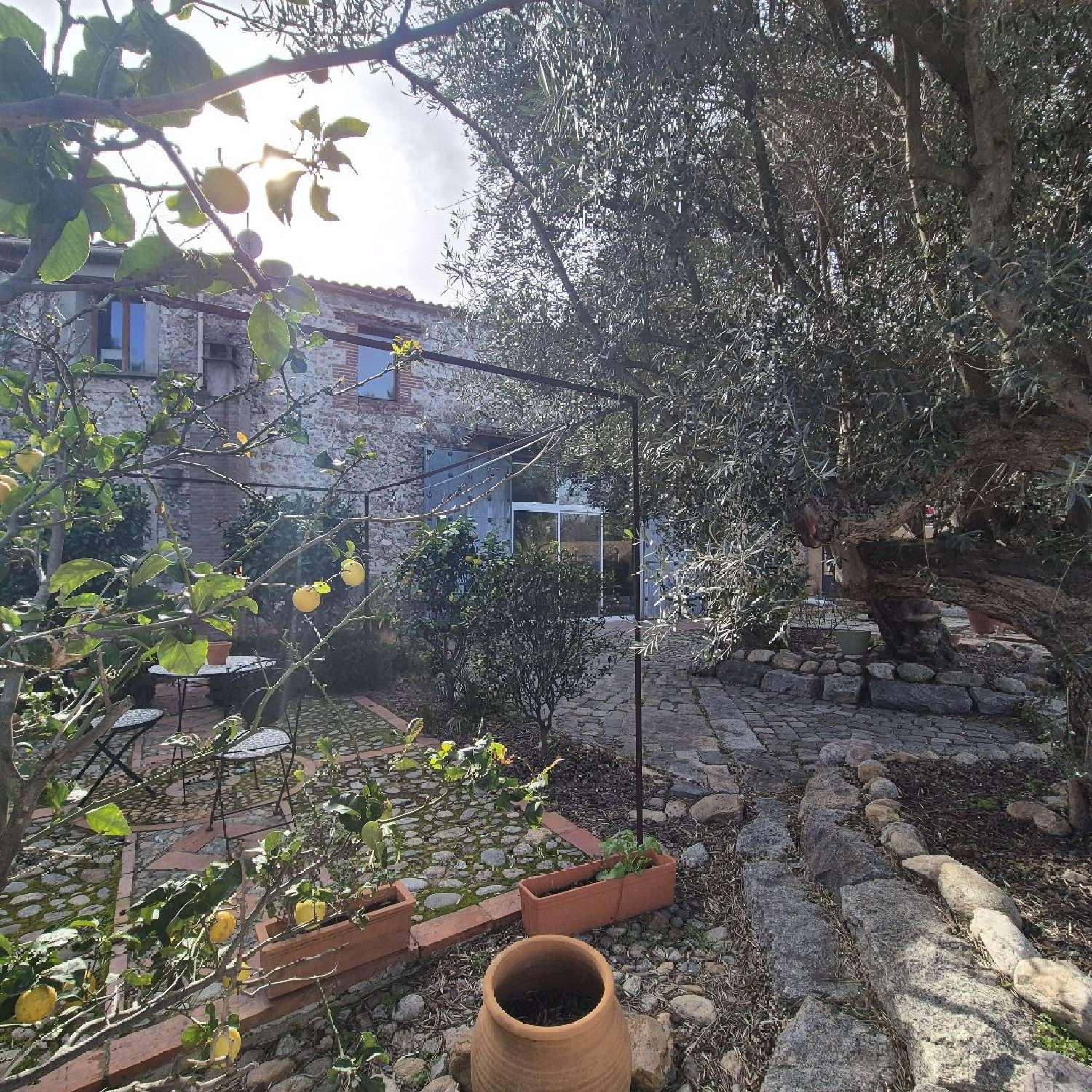  kaufen Haus Ortaffa Pyrénées-Orientales 4