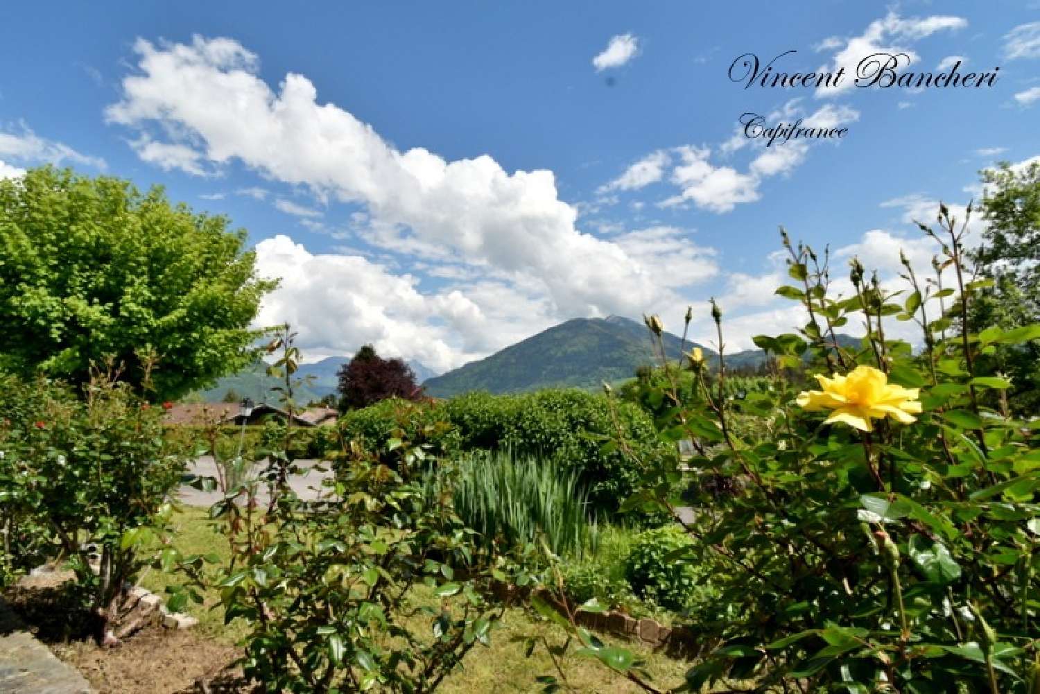 à vendre maison Peillonnex Haute-Savoie 2