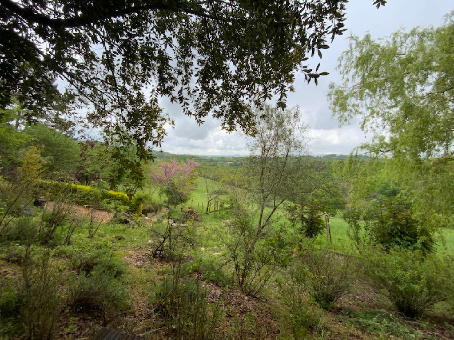  te koop huis Perpezac-le-Blanc Corrèze 5