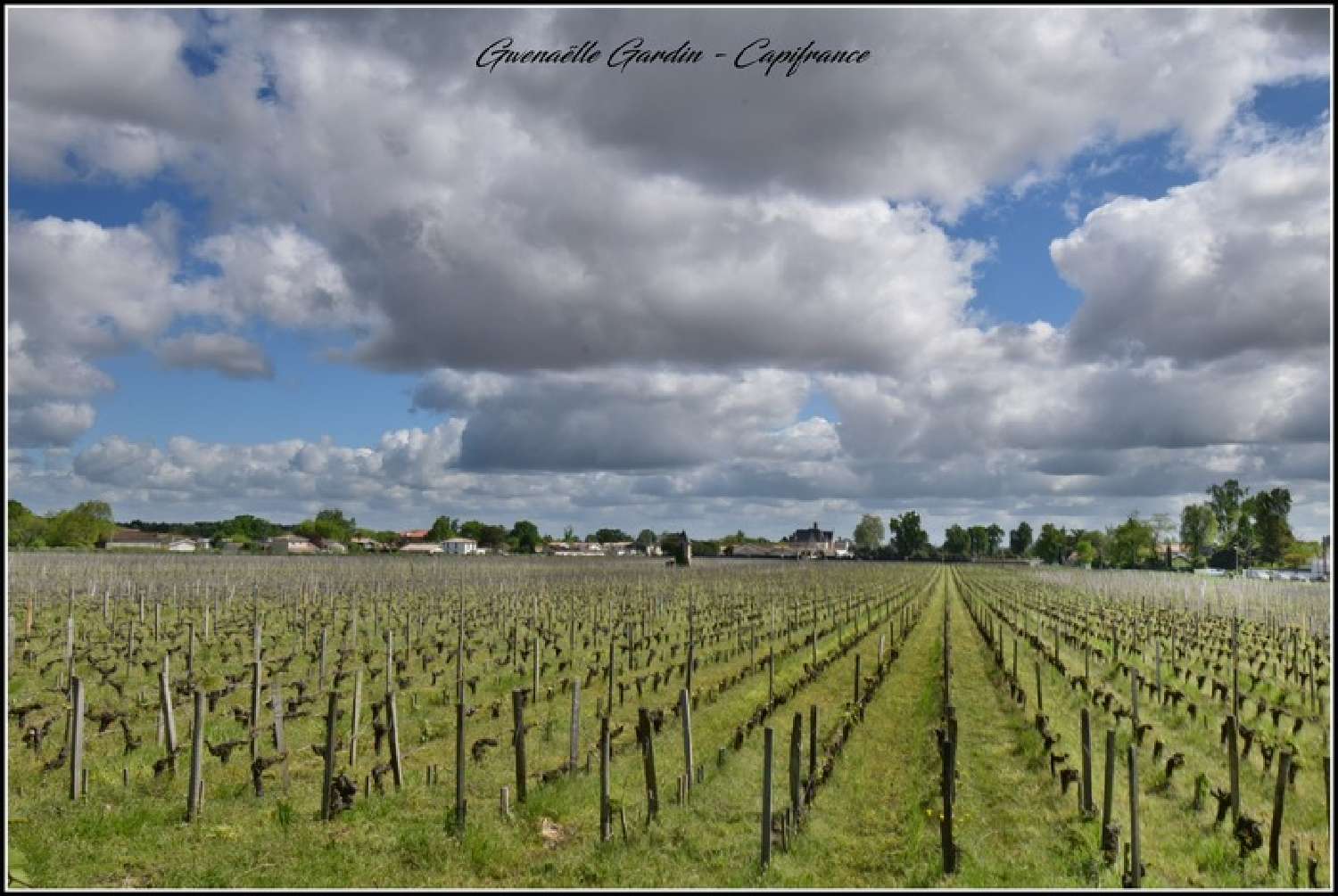  te koop huis Pessac Gironde 3