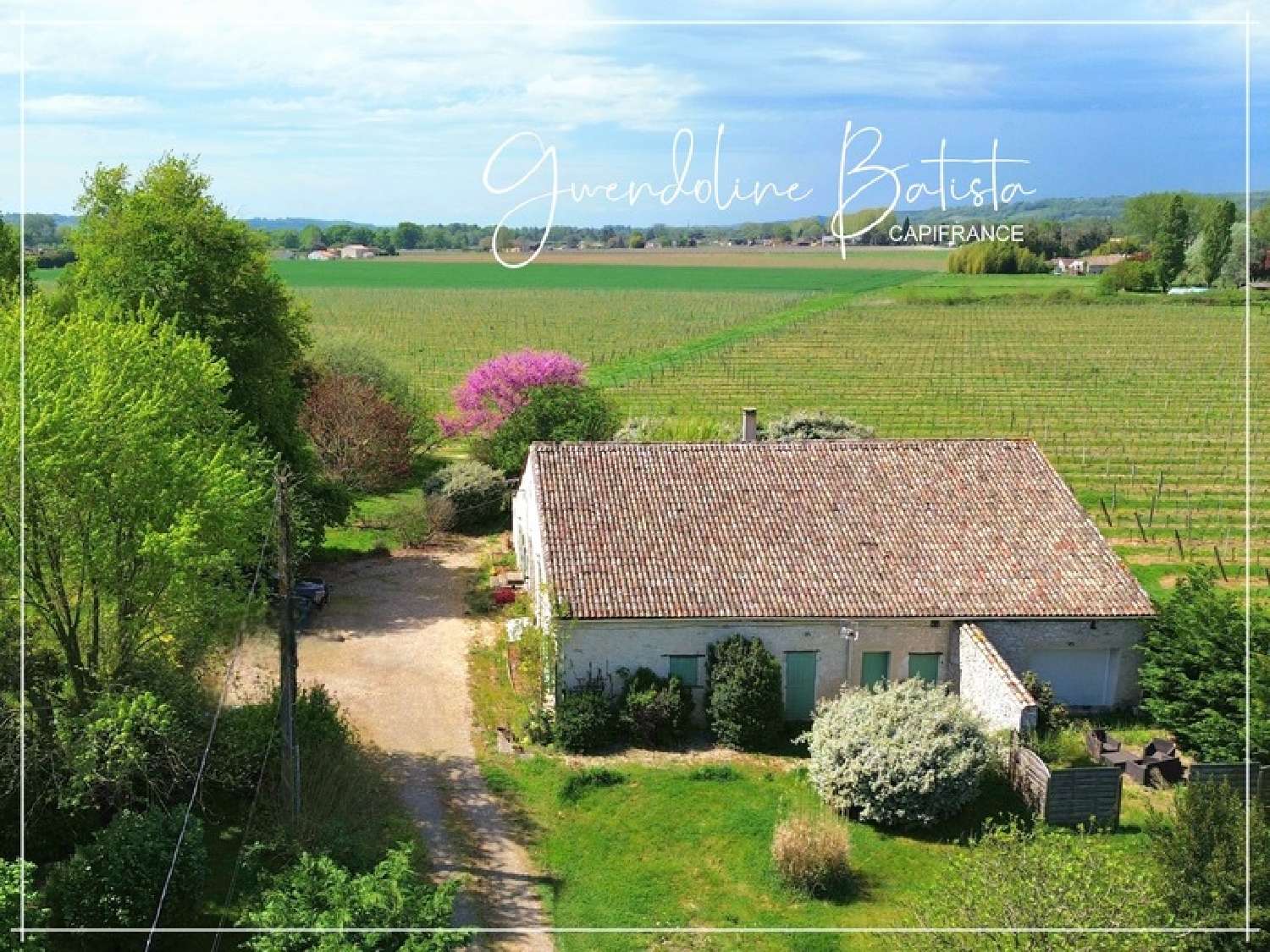  à vendre maison Pineuilh Gironde 5