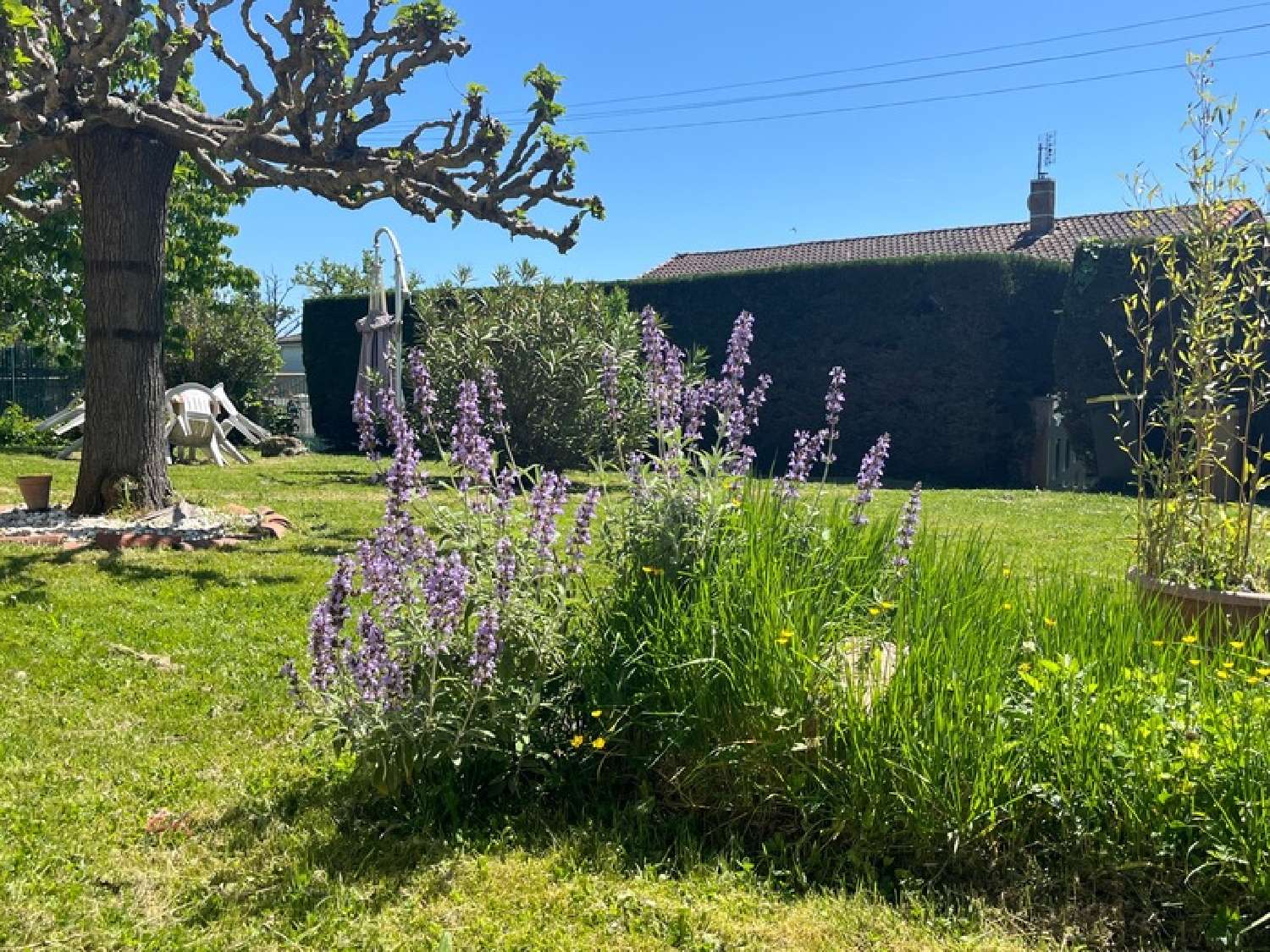  à vendre maison Plaisance Gers 8