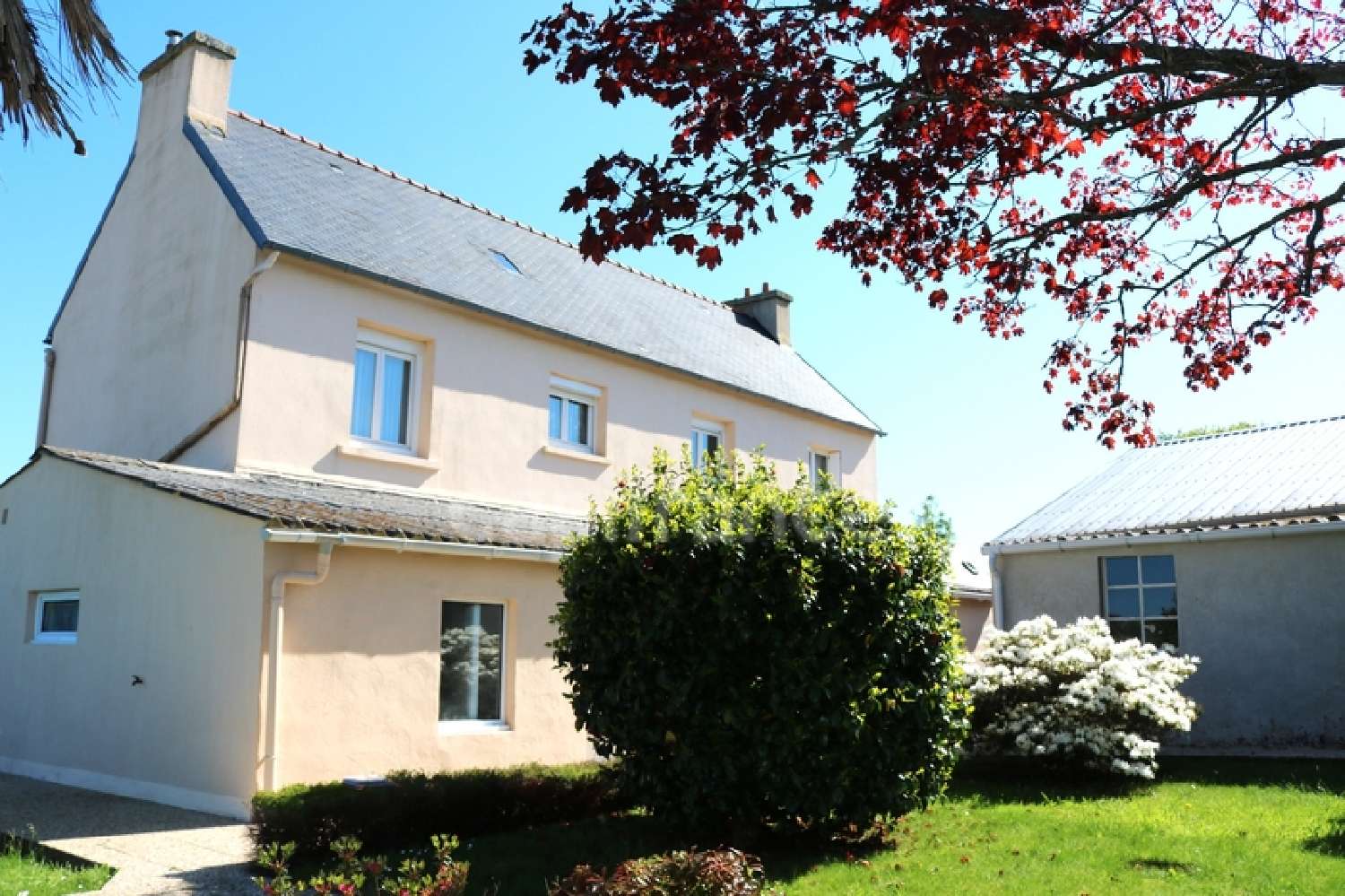  à vendre maison Plonéis Finistère 3