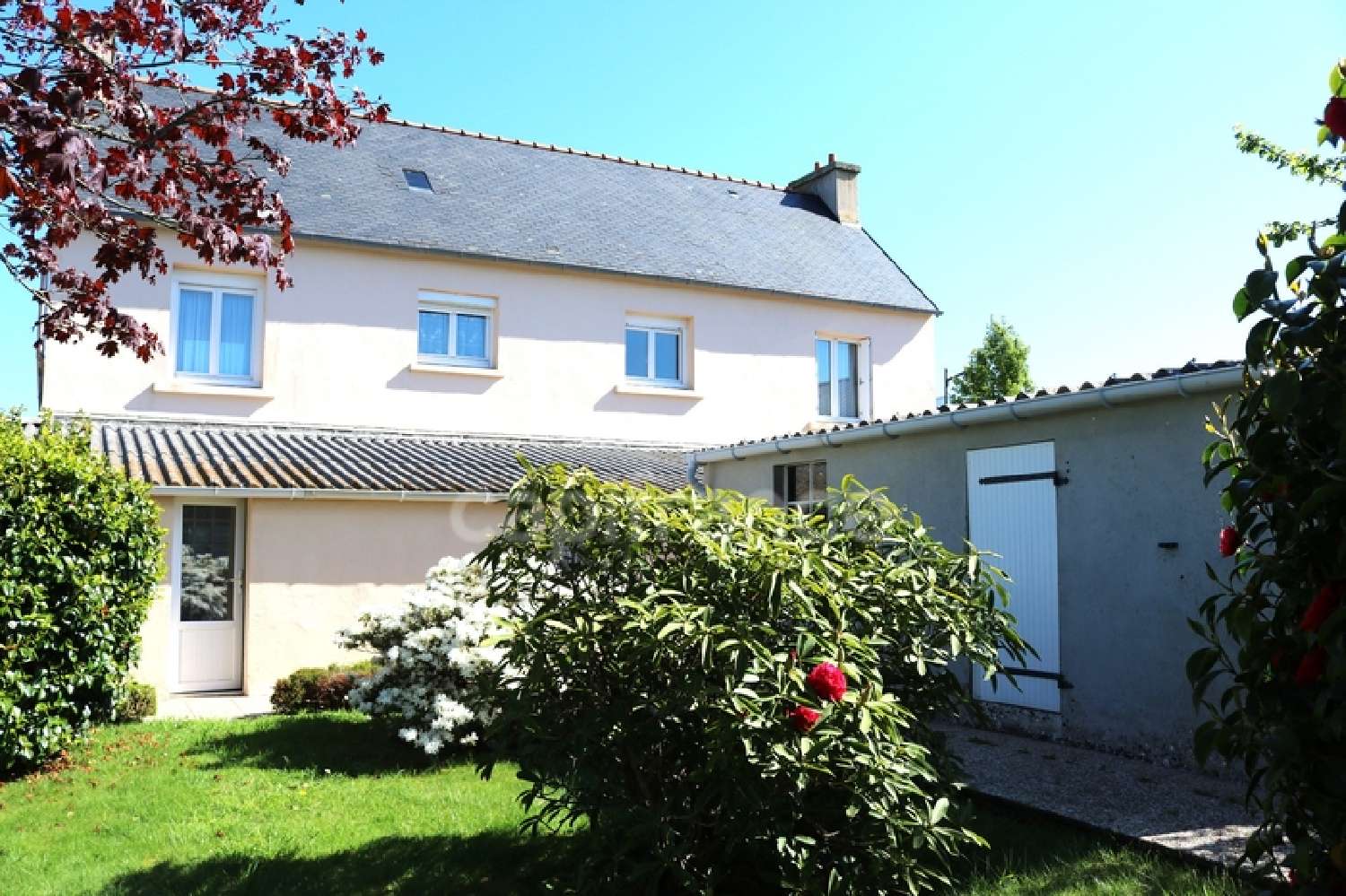  à vendre maison Plonéis Finistère 5