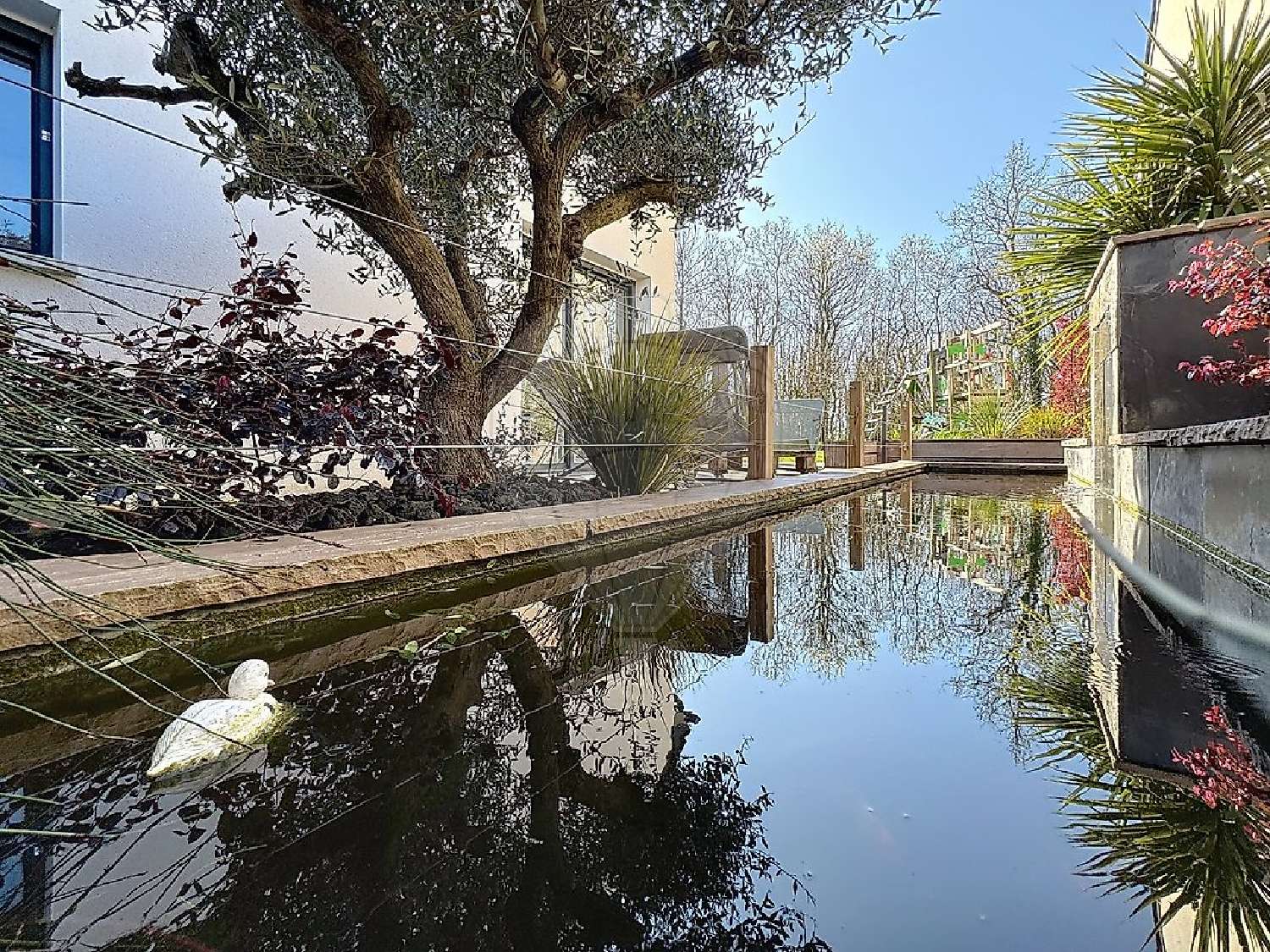  te koop huis Plougastel-Daoulas Finistère 2