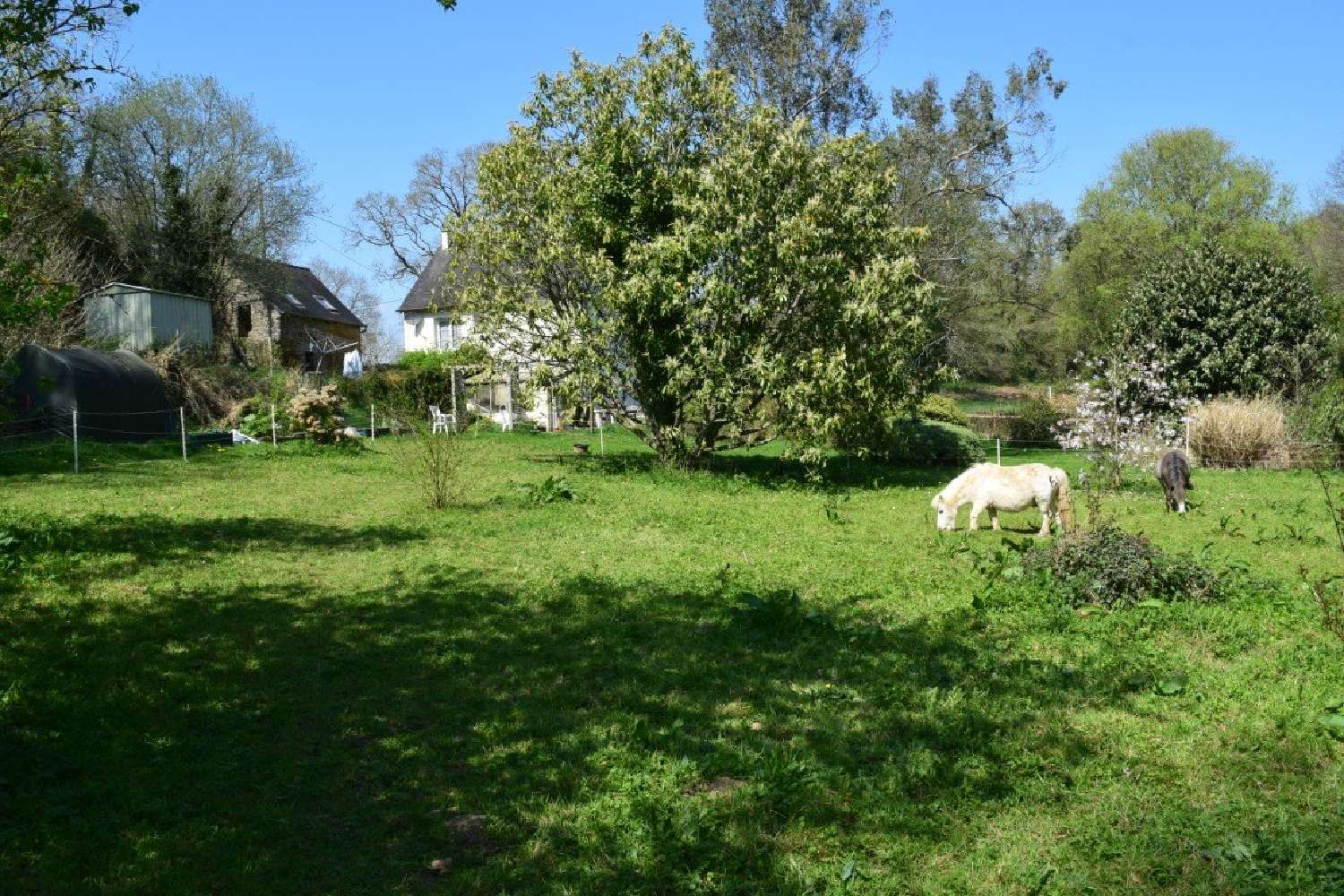  en venta casa Plouguenast Côtes-d'Armor 4