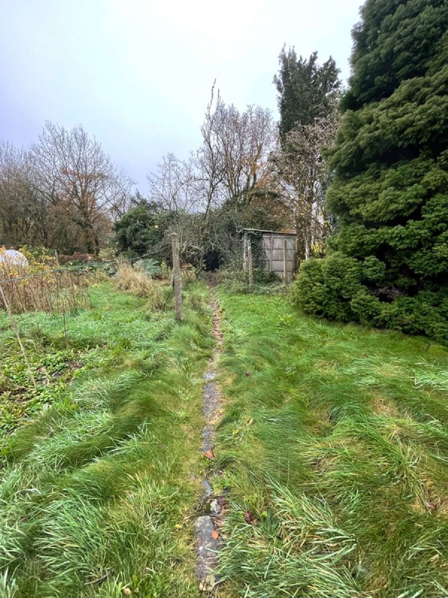  à vendre maison Plounevez-Quintin Côtes-d'Armor 3