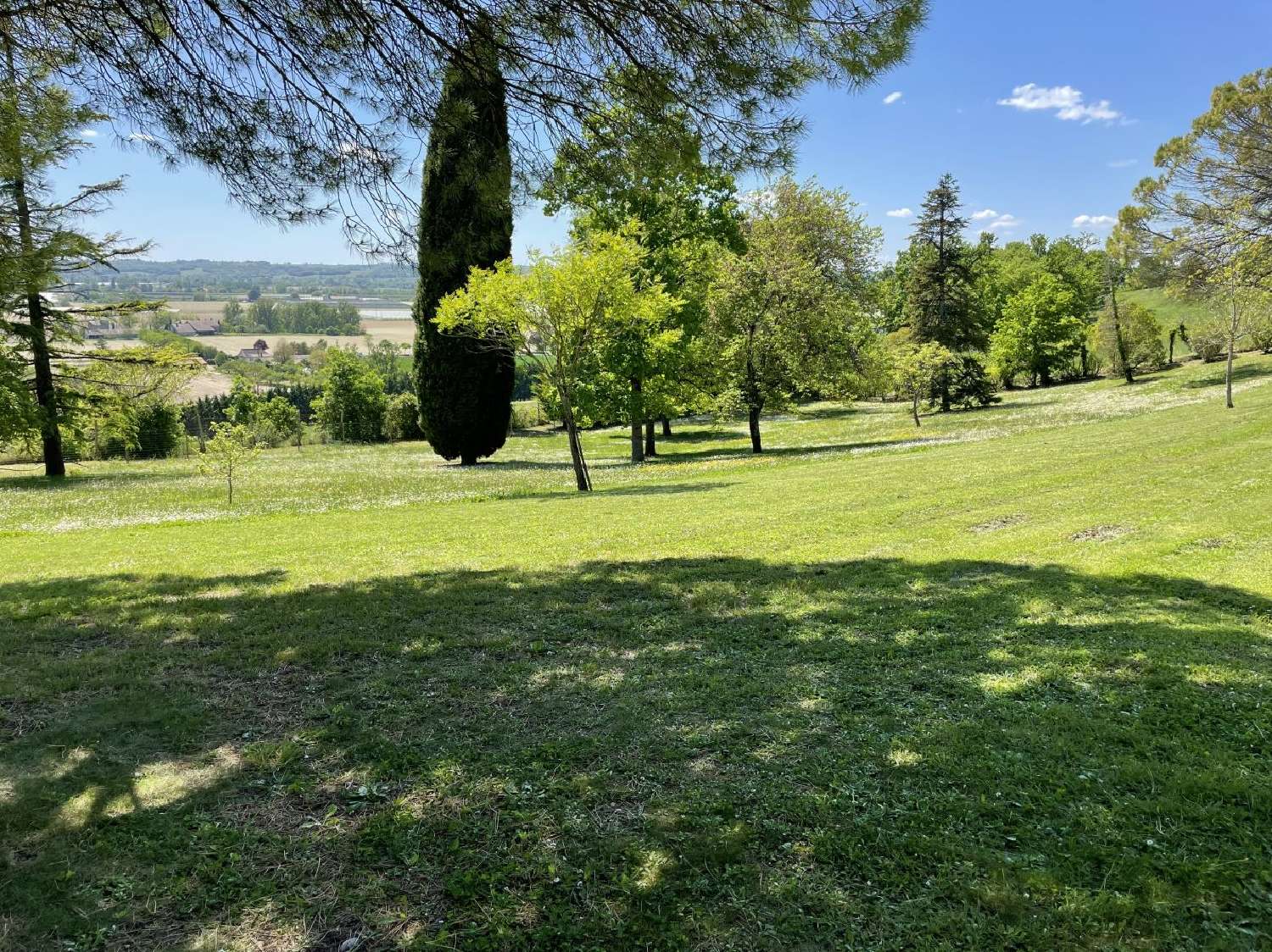  for sale house Port-Sainte-Marie Lot-et-Garonne 4