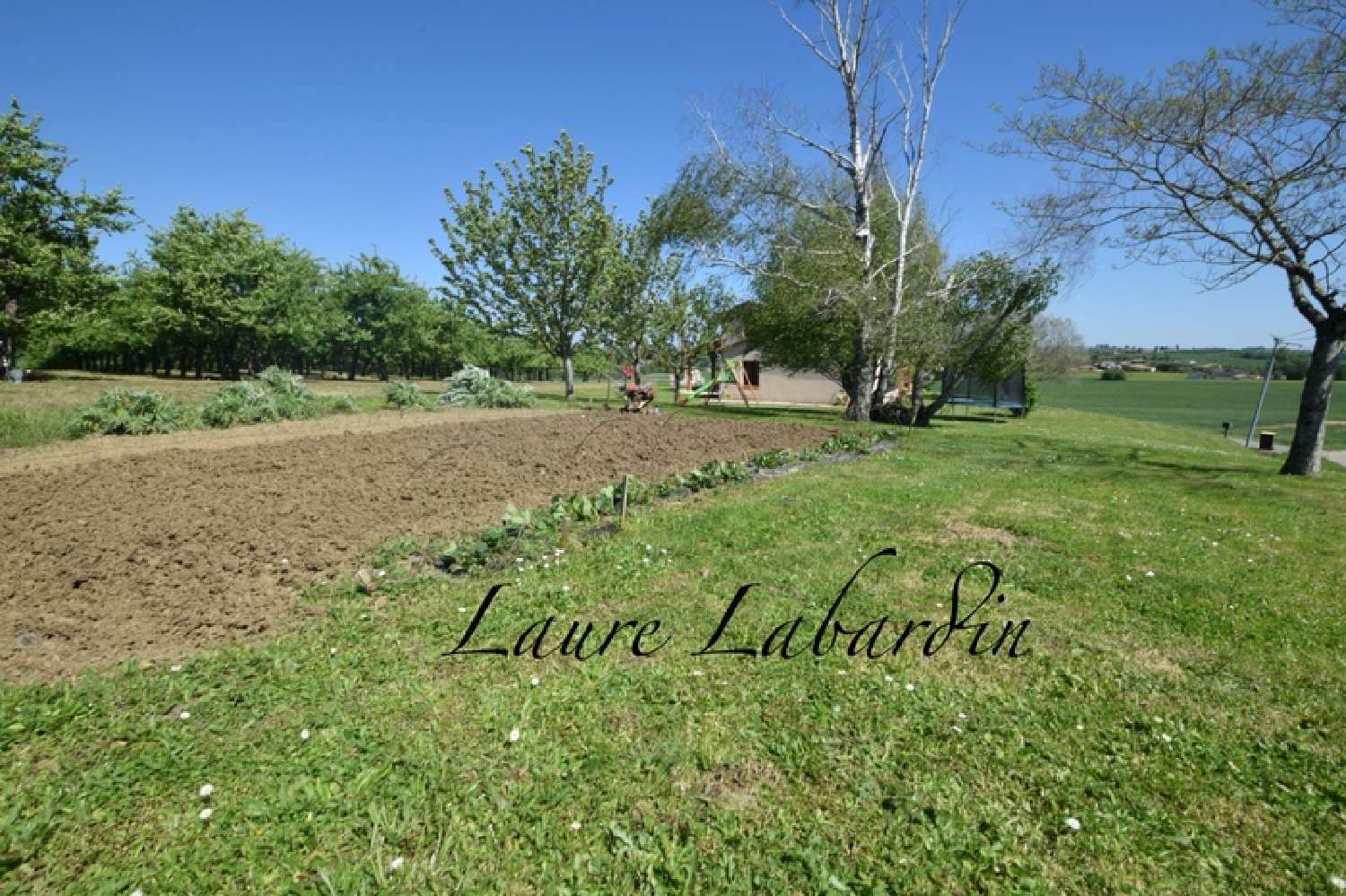  for sale house Puymiclan Lot-et-Garonne 7