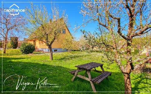 Romanswiller Bas-Rhin maison foto 7067565