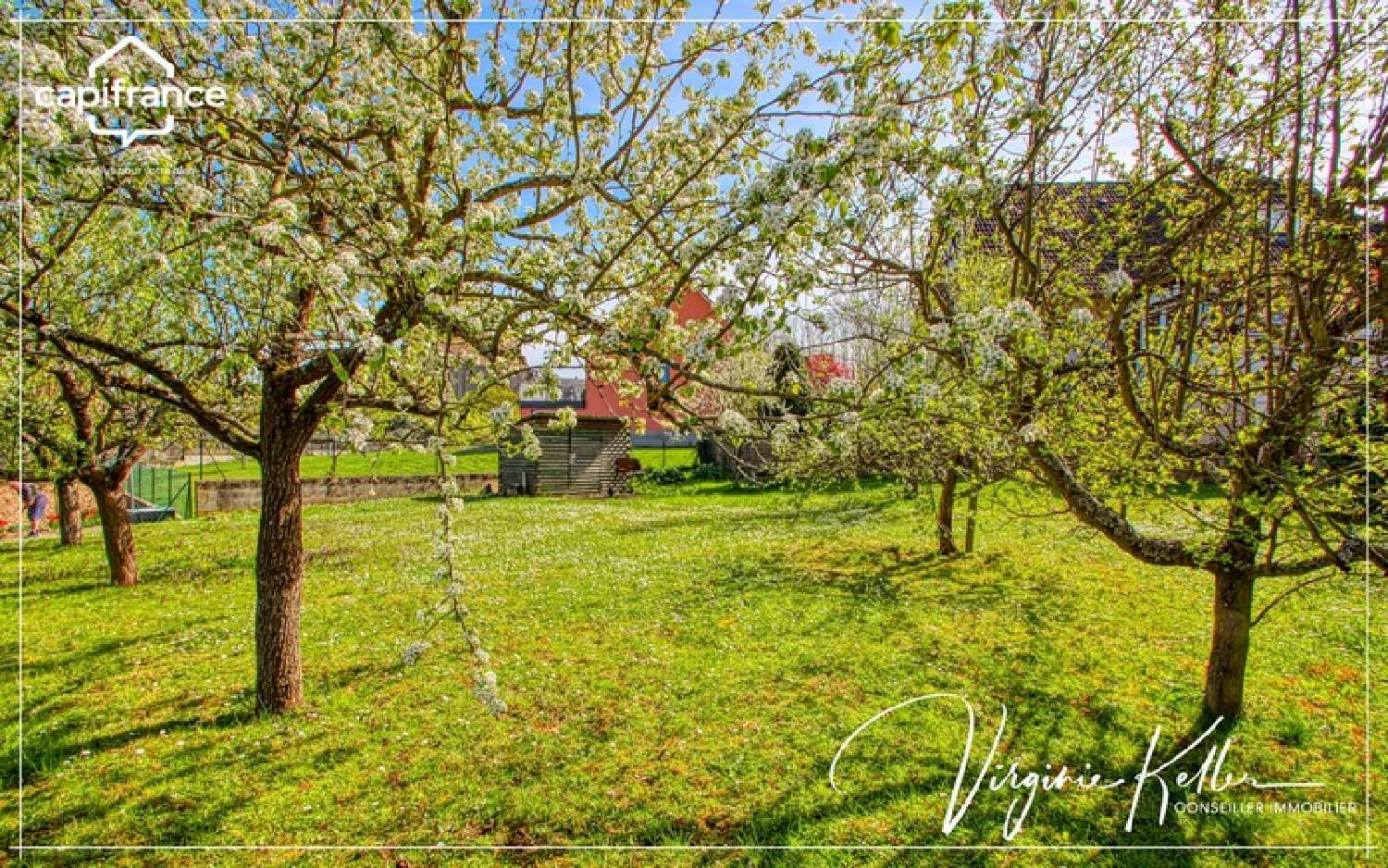  à vendre maison Romanswiller Bas-Rhin 8