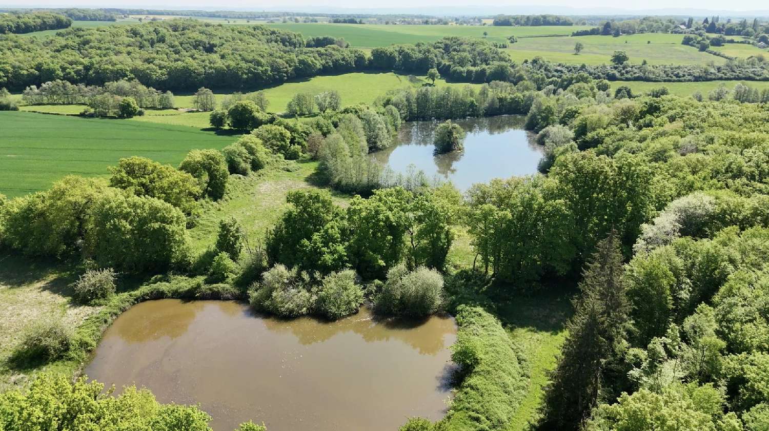  kaufen Haus Rouy Nièvre 2