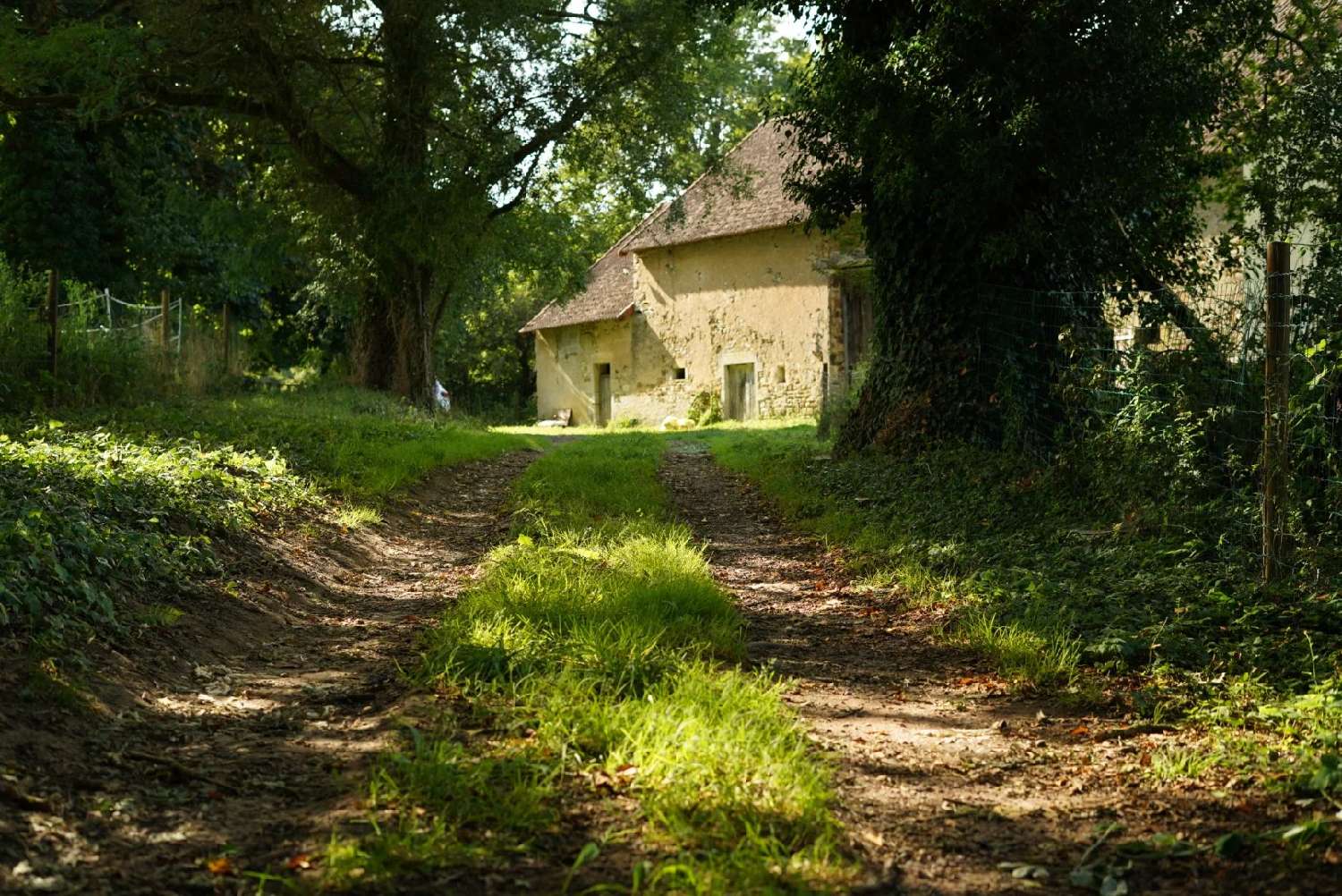  kaufen Haus Rouy Nièvre 7