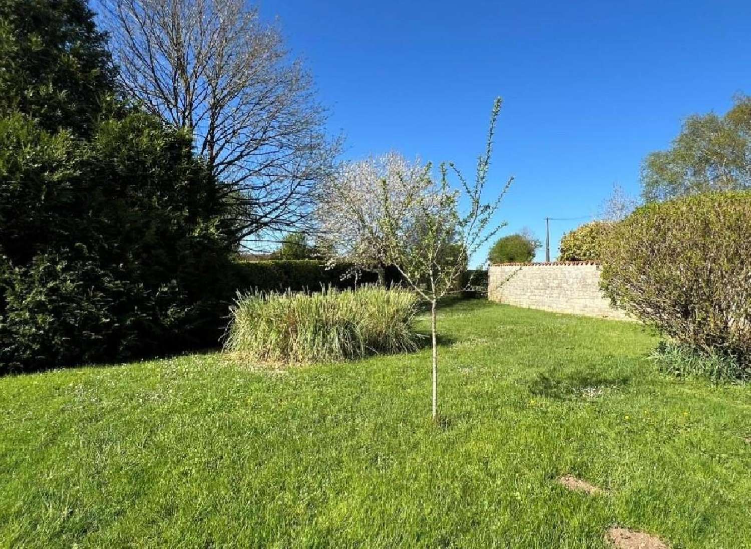  te koop huis Ruffec Charente 2