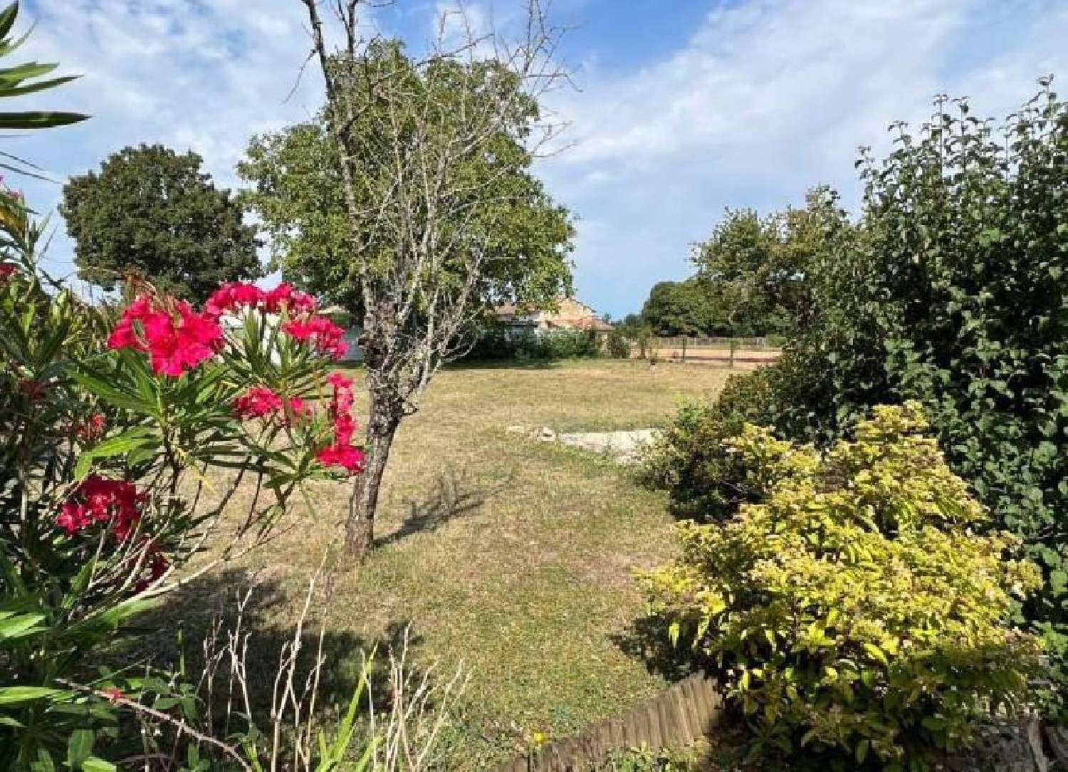  te koop huis Ruffec Charente 3