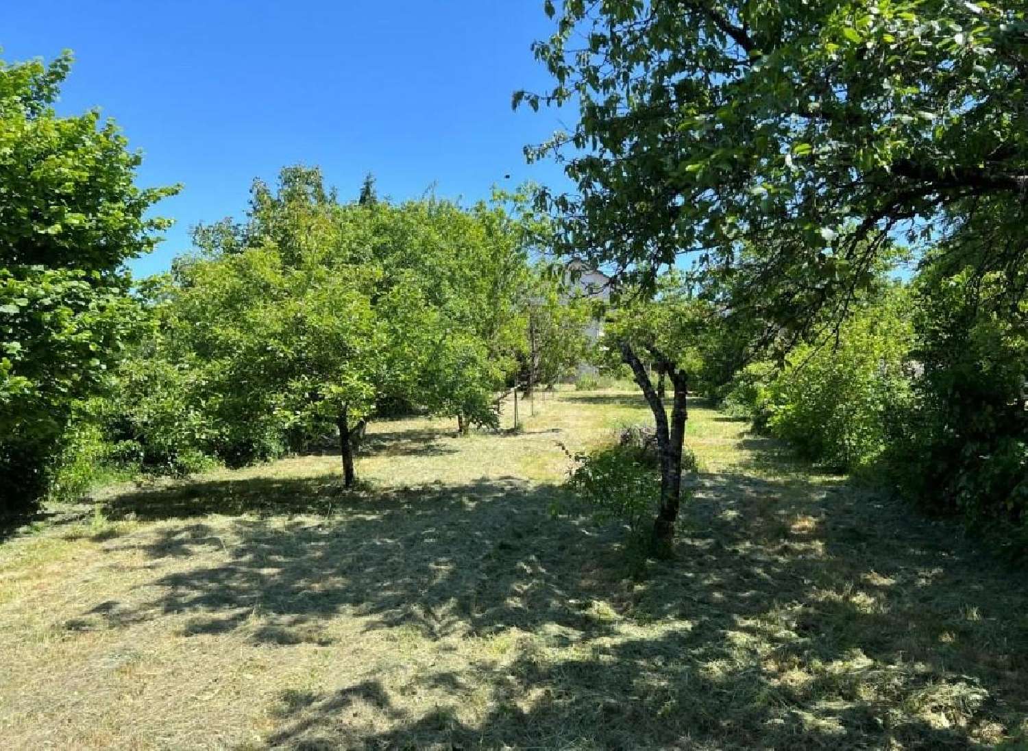  en venta casa Ruffec Charente 4