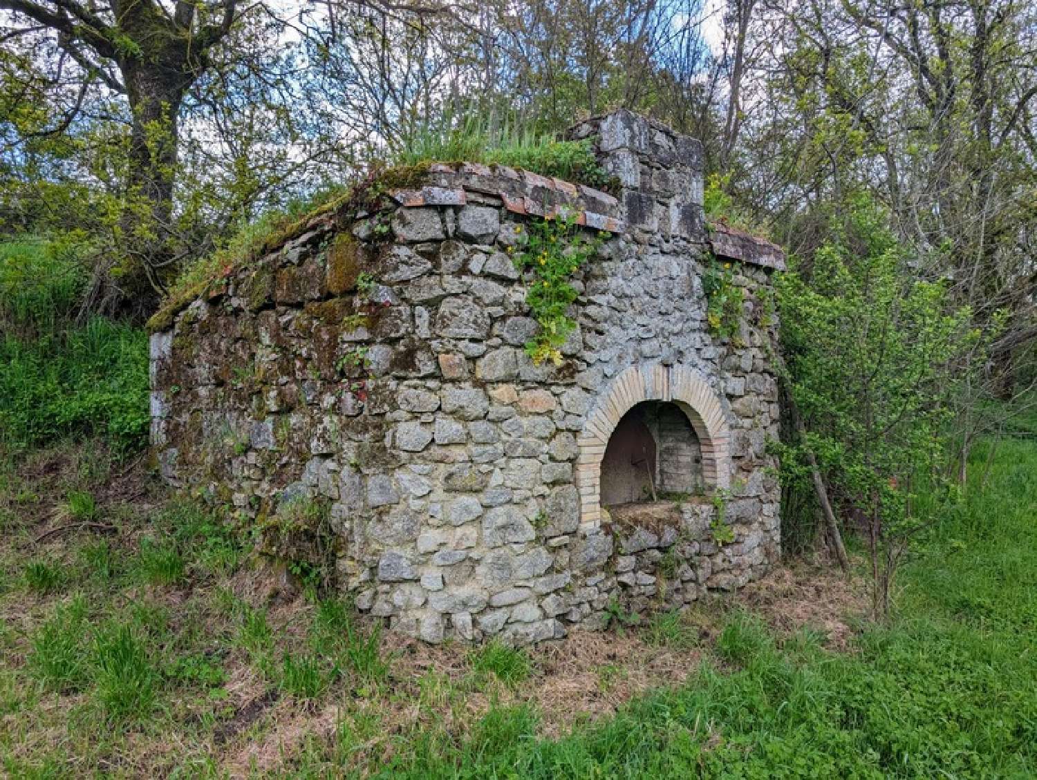  for sale house Saint-Aubin-du-Plain Deux-Sèvres 4