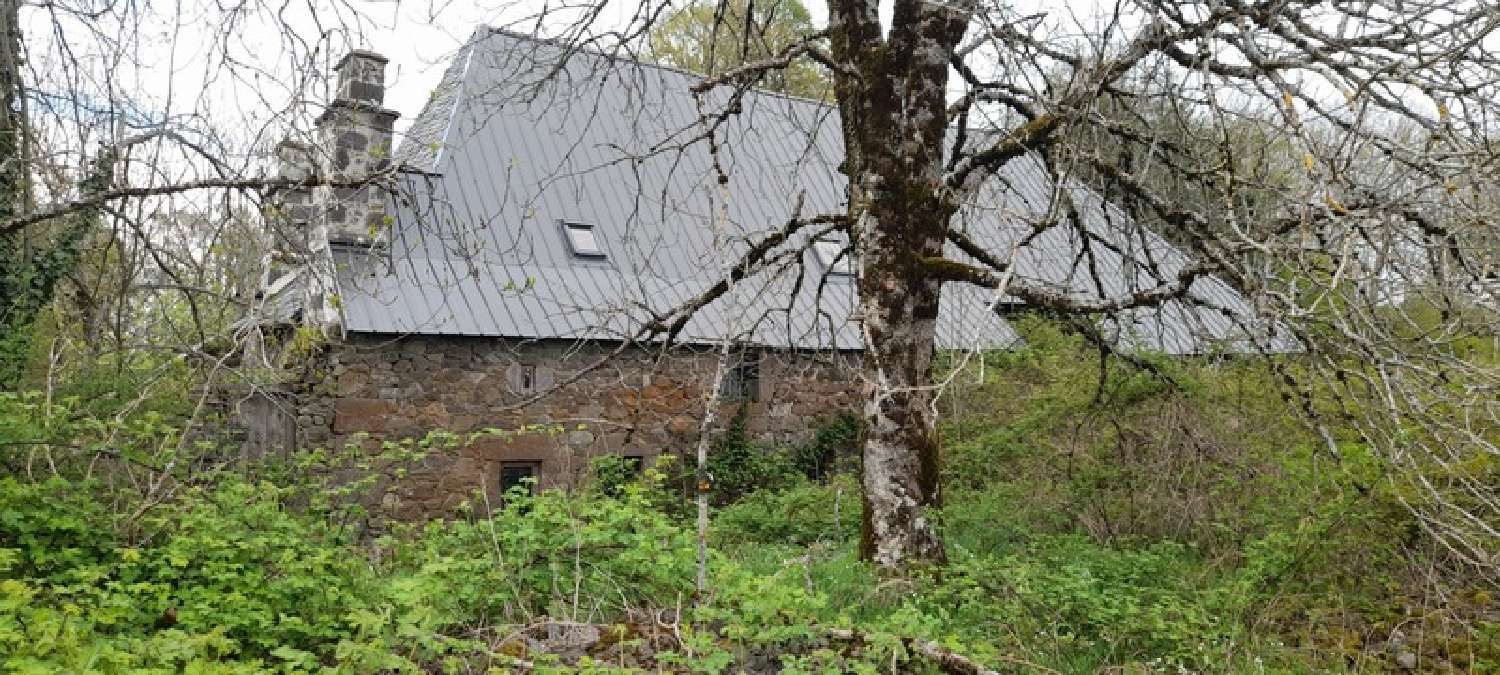  à vendre maison Saint-Cernin Cantal 3