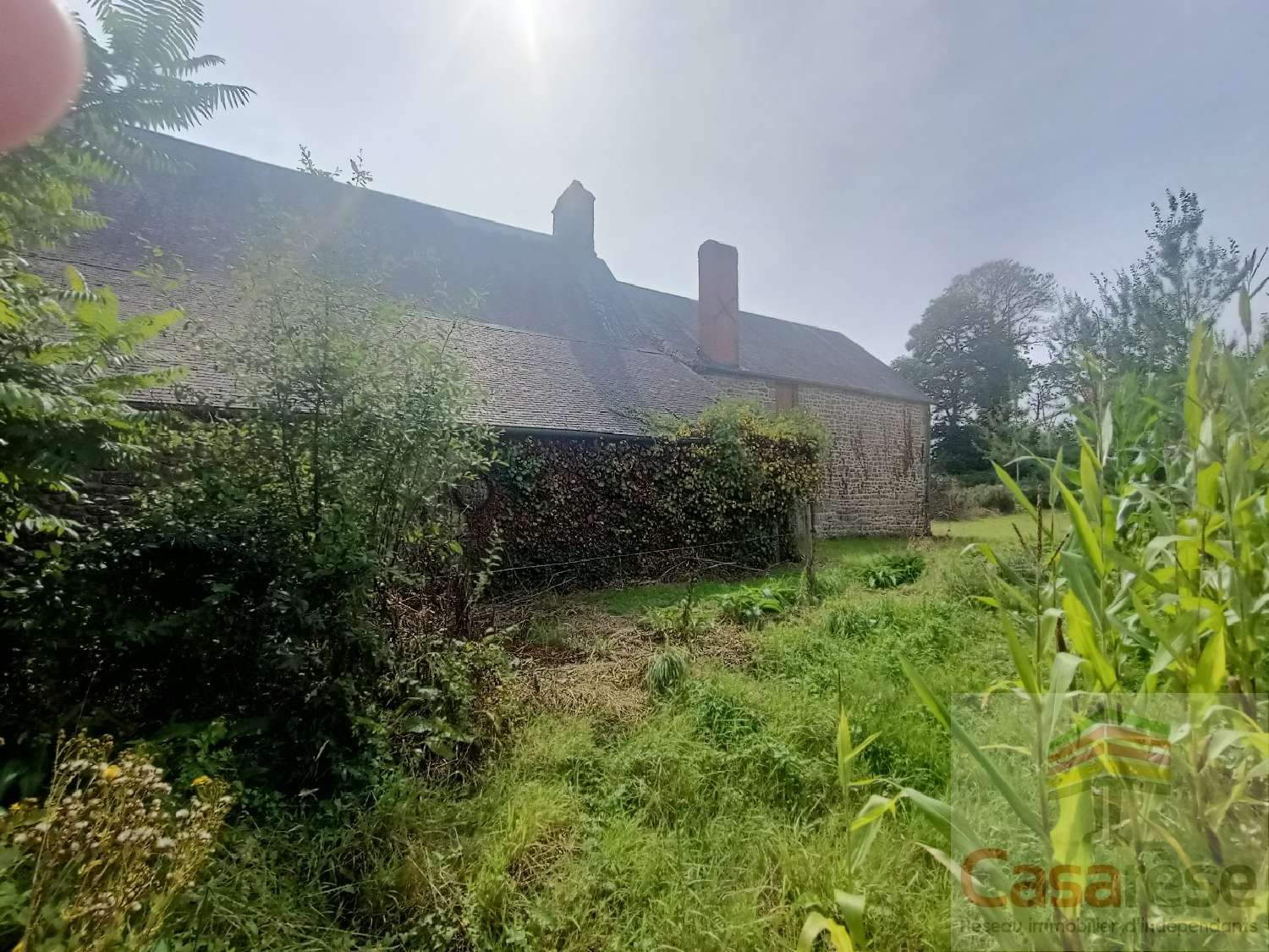  en venta casa Saint-Georges-de-Reintembault Ille-et-Vilaine 3