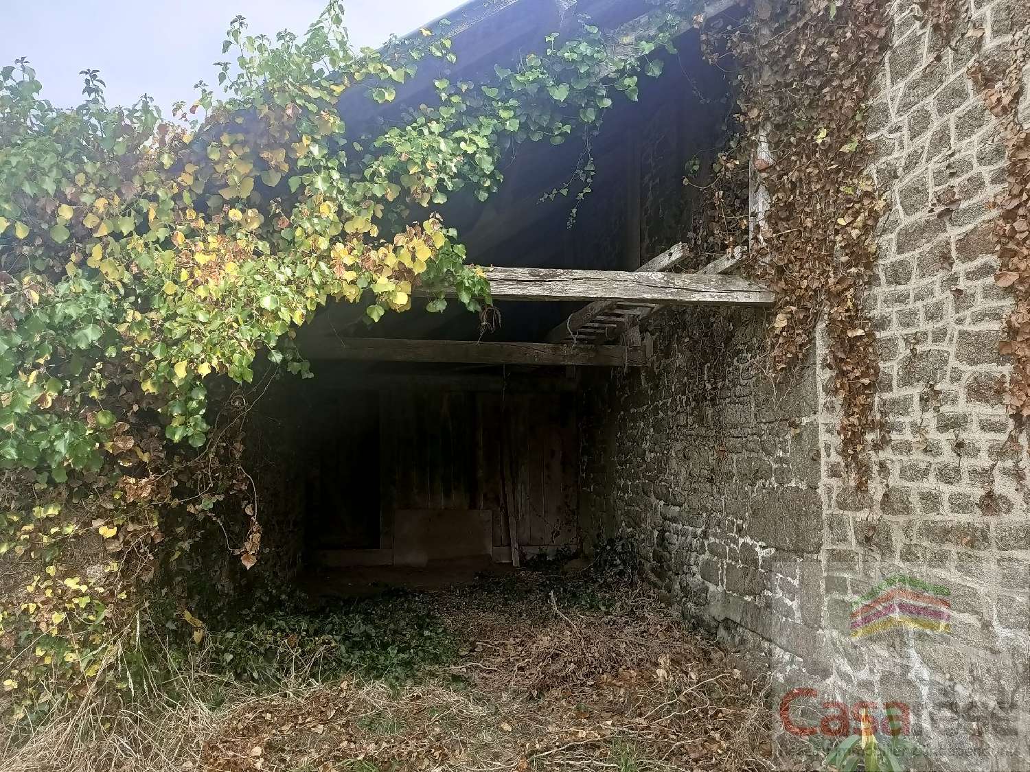  en venta casa Saint-Georges-de-Reintembault Ille-et-Vilaine 4