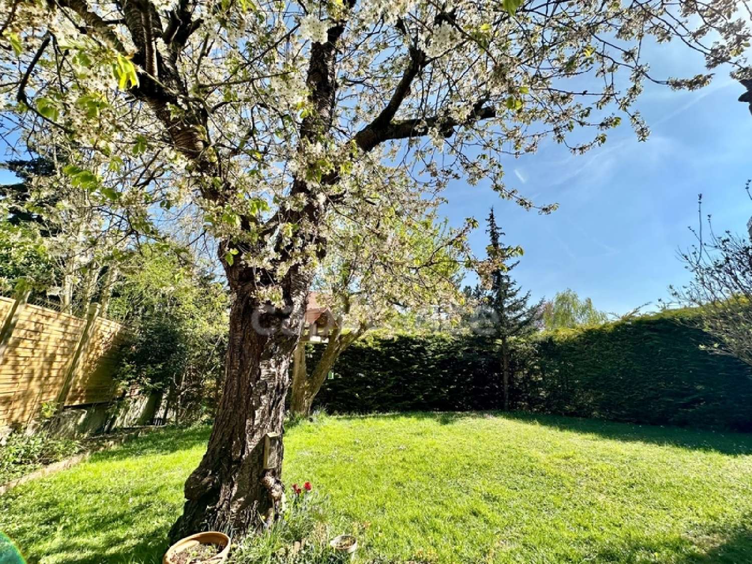  te koop huis Saint-Germain-en-Laye Yvelines 8