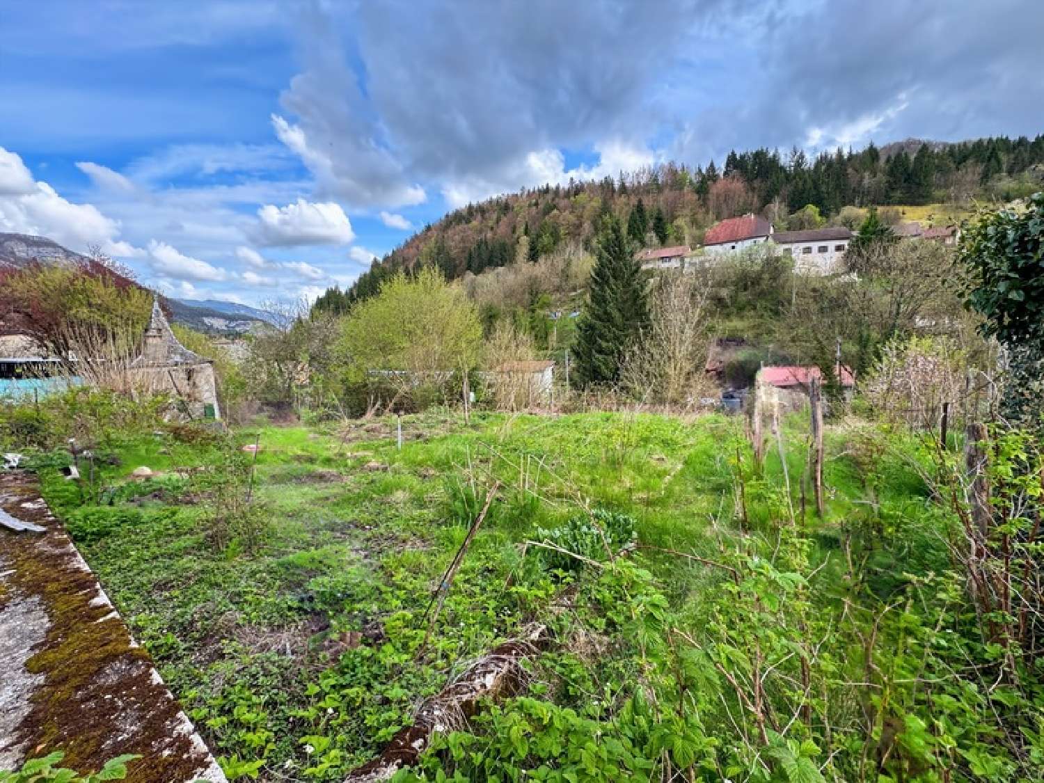  for sale house Saint-Germain-de-Joux Ain 2