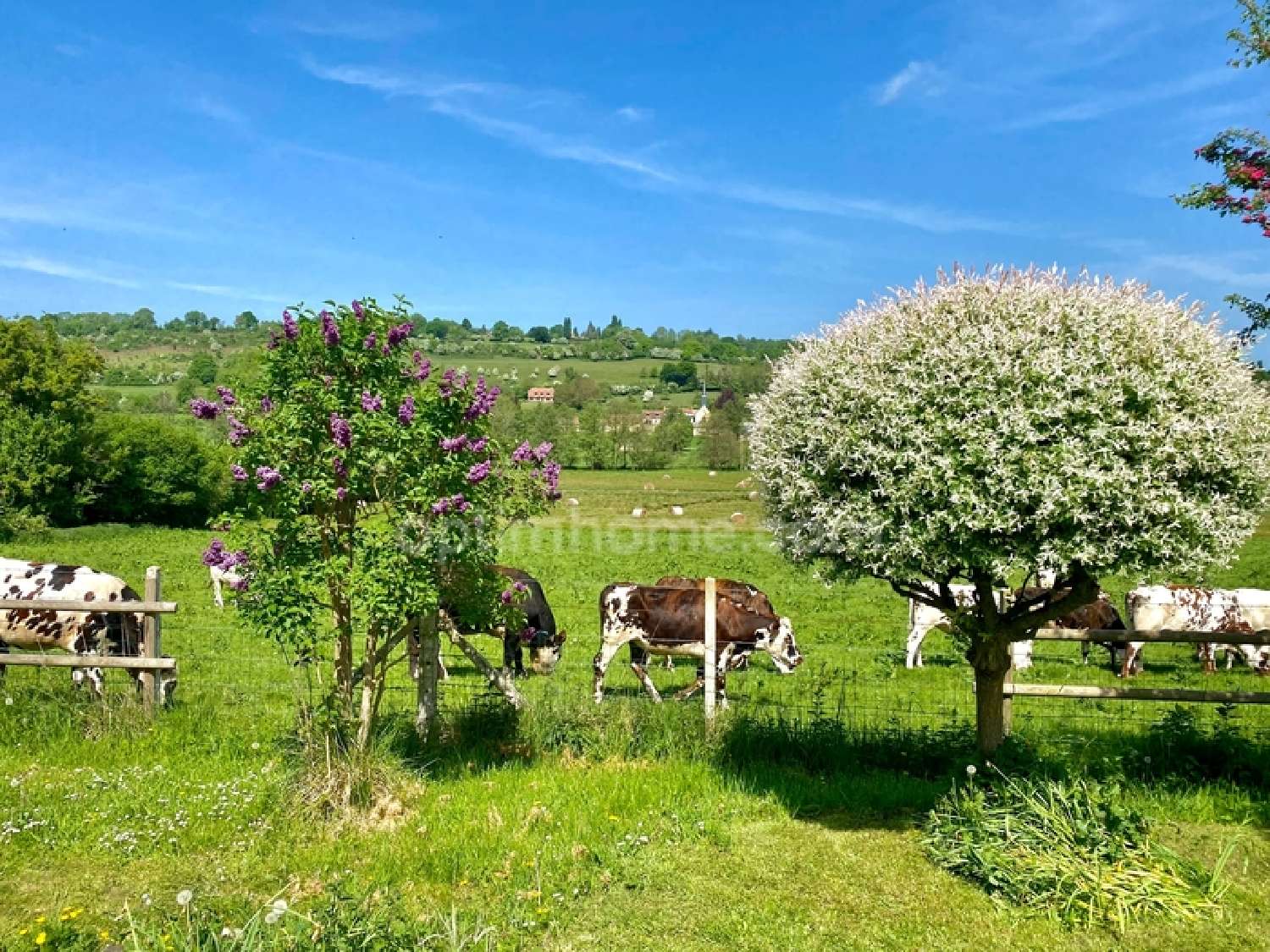  for sale house Saint-Germain-de-Livet Calvados 2