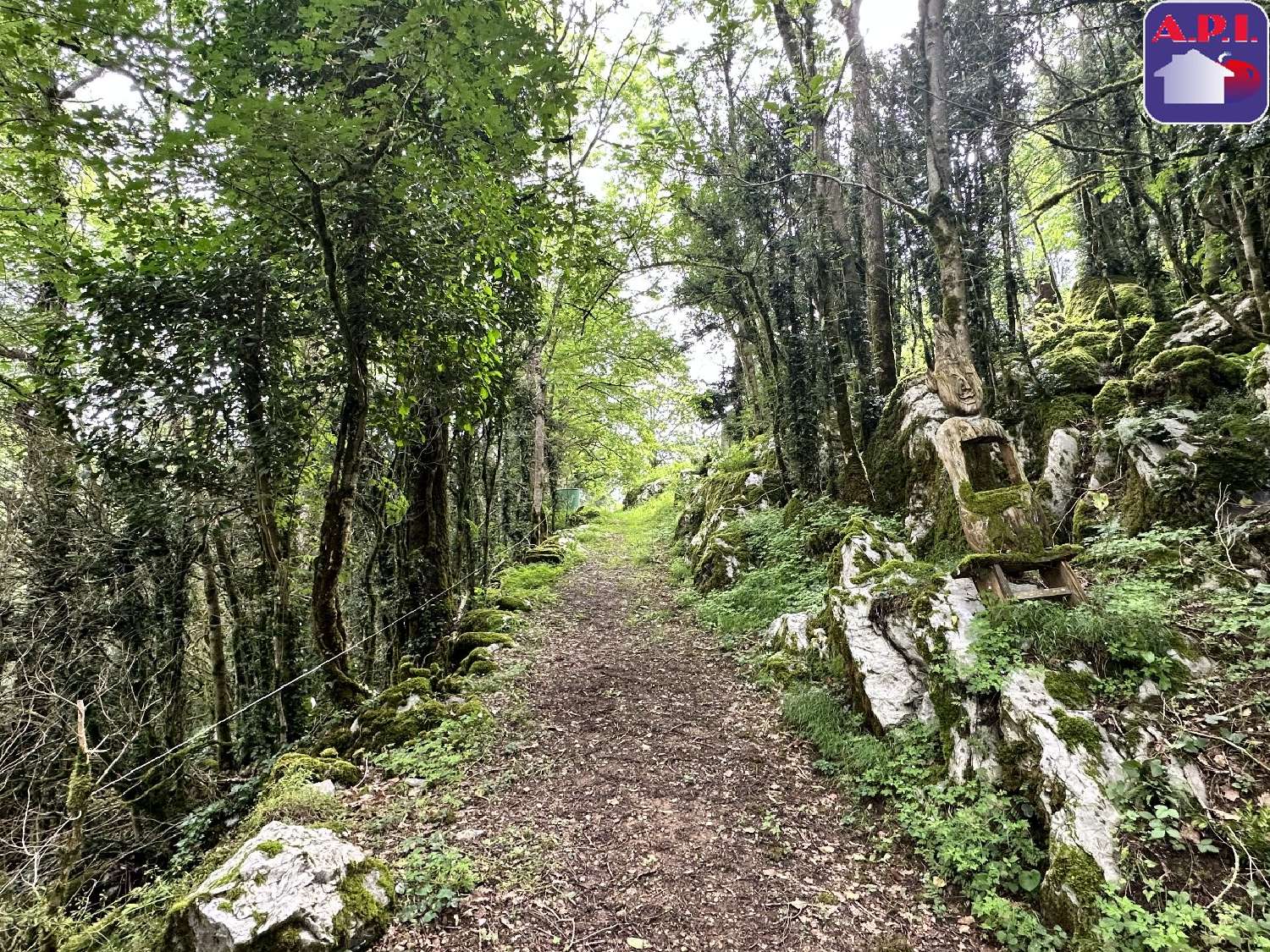  te koop huis Saint-Girons Ariège 6