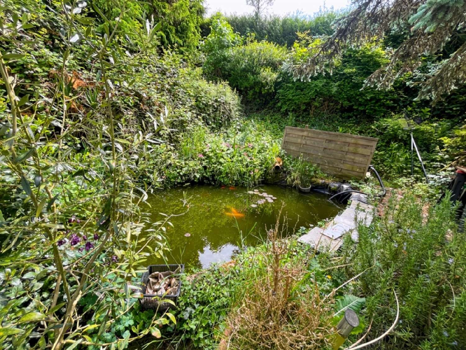  à vendre maison Saint-Hellier Seine-Maritime 4