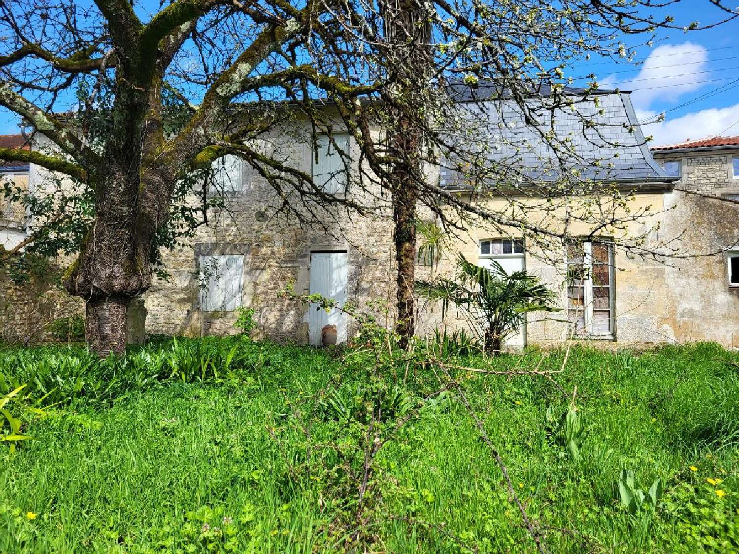  te koop huis Saint-Jean-d'Angély Charente-Maritime 3
