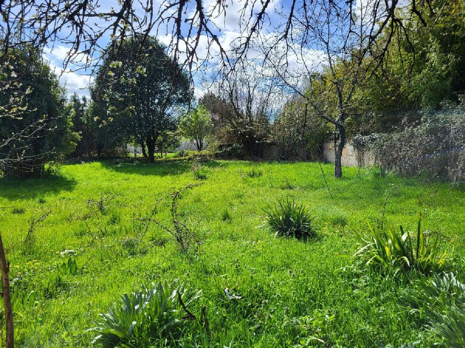  te koop huis Saint-Jean-d'Angély Charente-Maritime 4