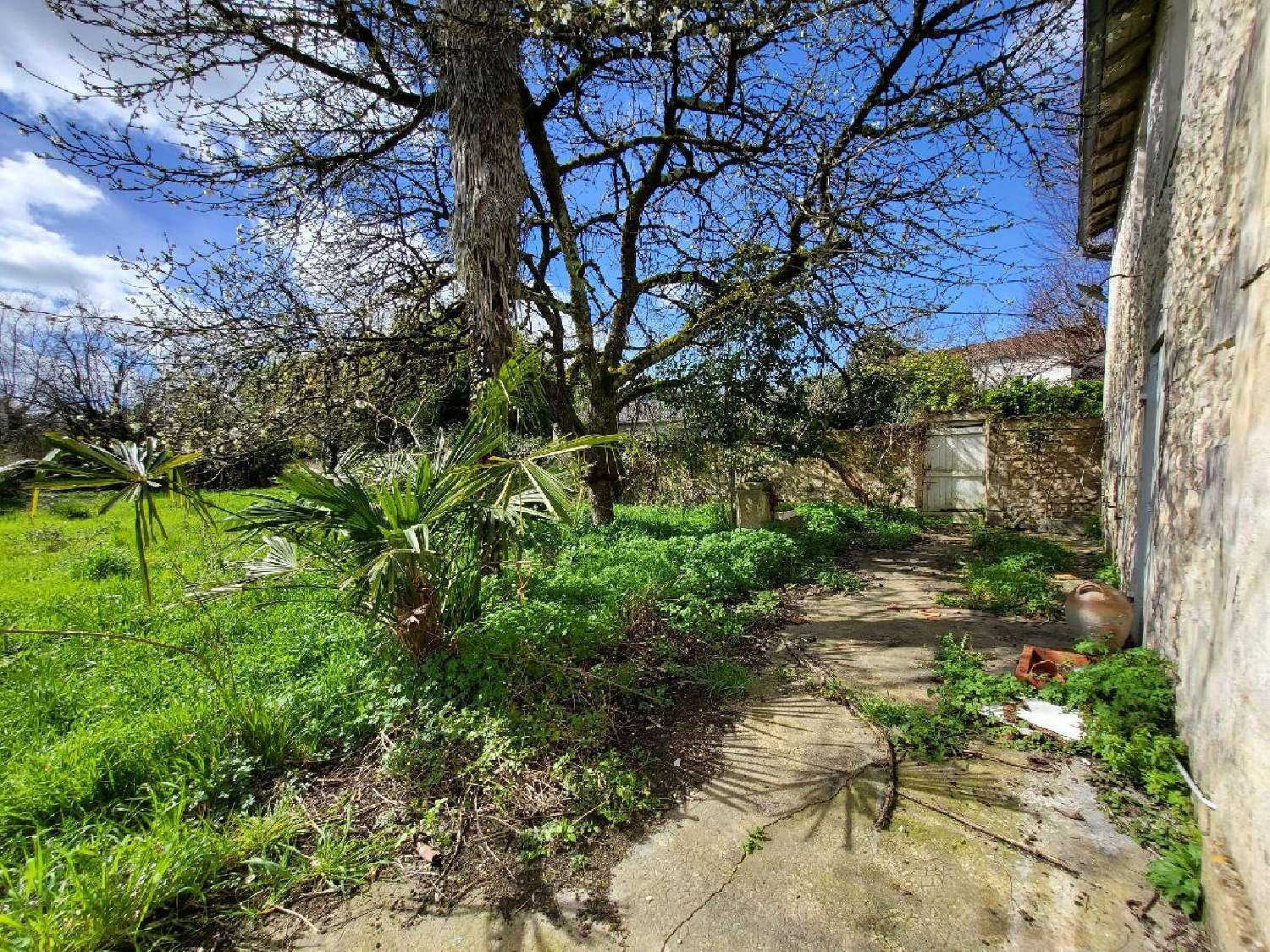  te koop huis Saint-Jean-d'Angély Charente-Maritime 5