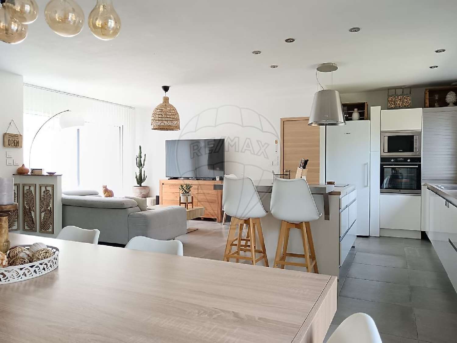  te koop huis Saint-Julien Rhône 3