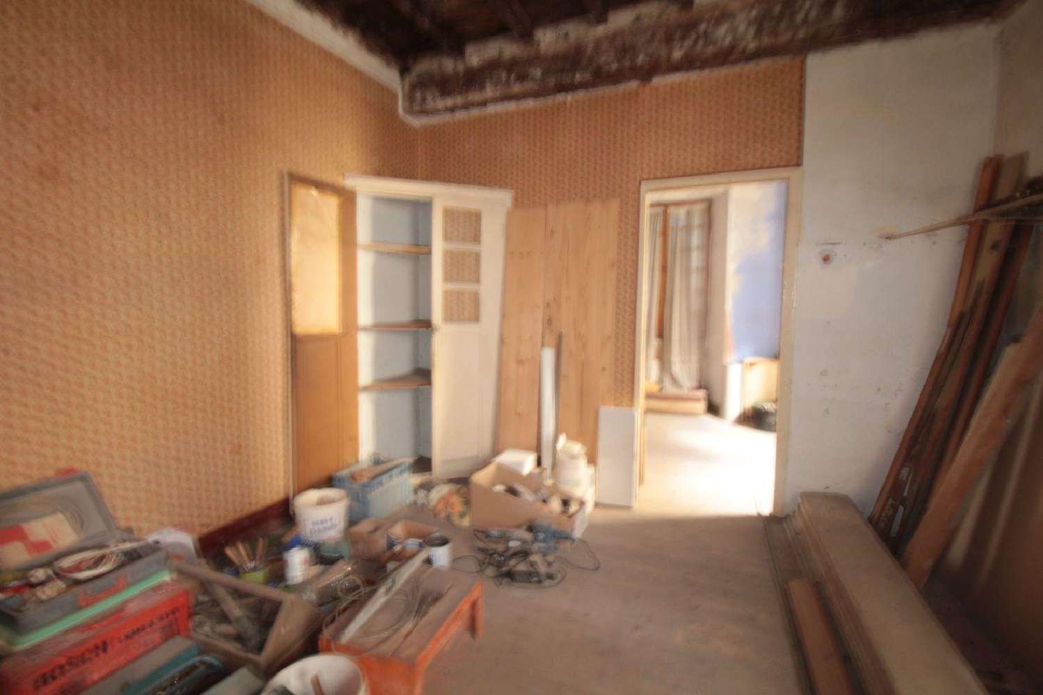  kaufen Haus Saint-Laurent-de-Cerdans Pyrénées-Orientales 4