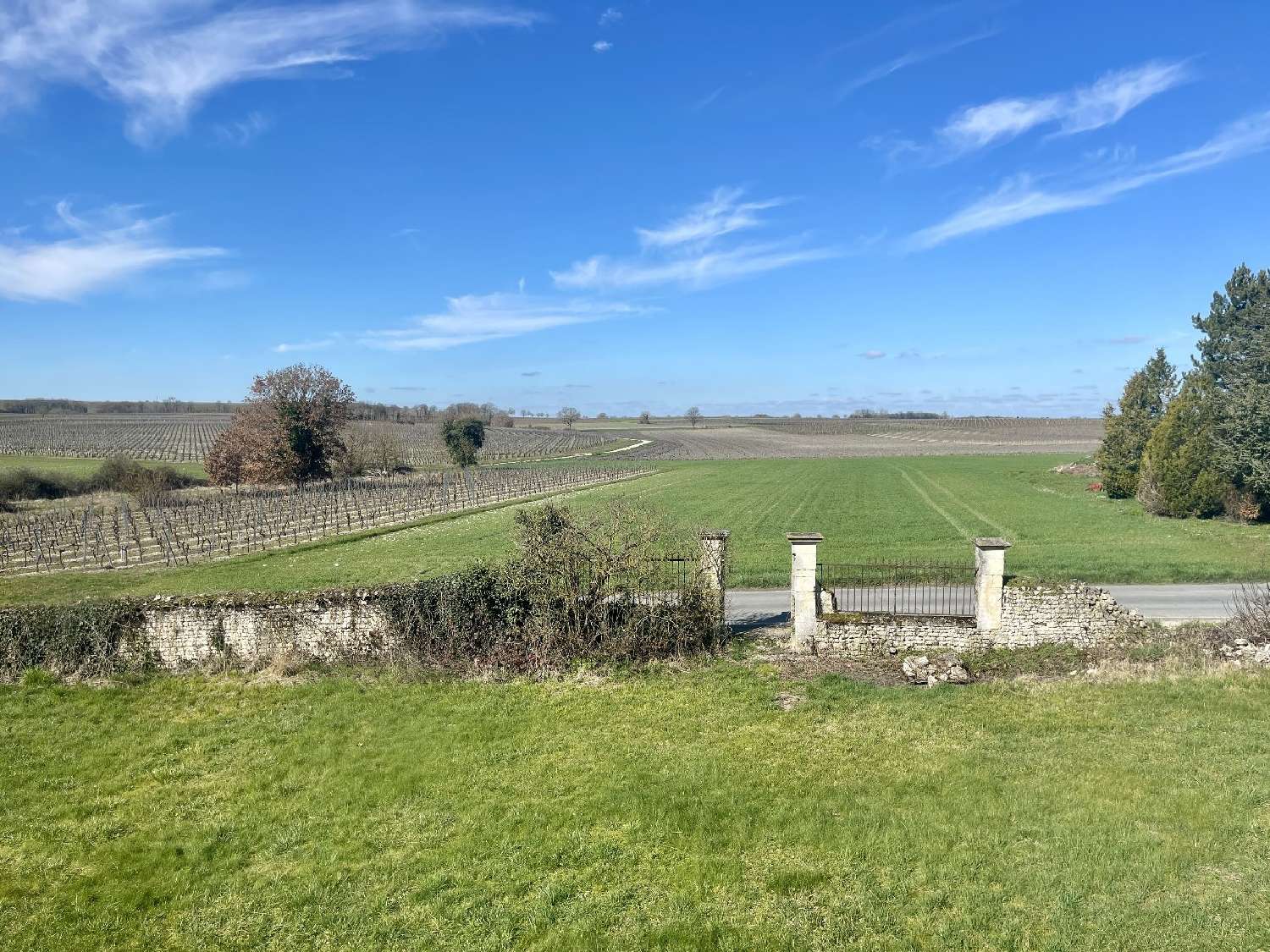  for sale house Saint-Martial-sur-Né Charente-Maritime 4