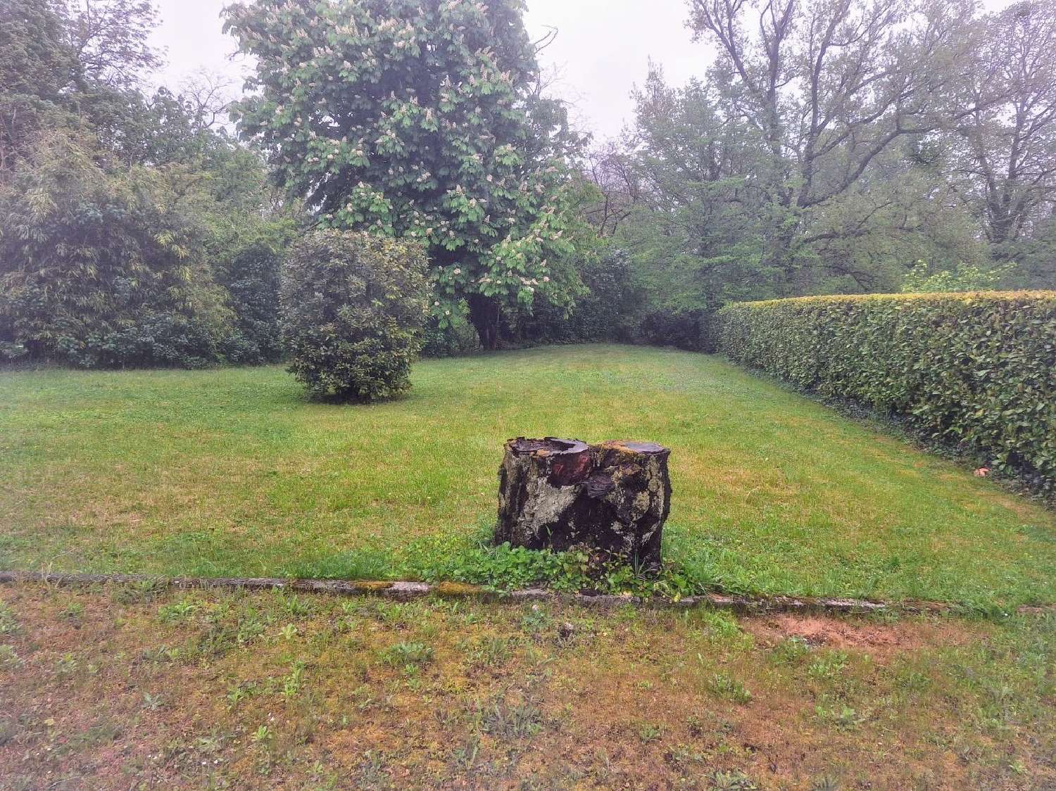  te koop huis Saint-Maurice-de-Beynost Ain 4