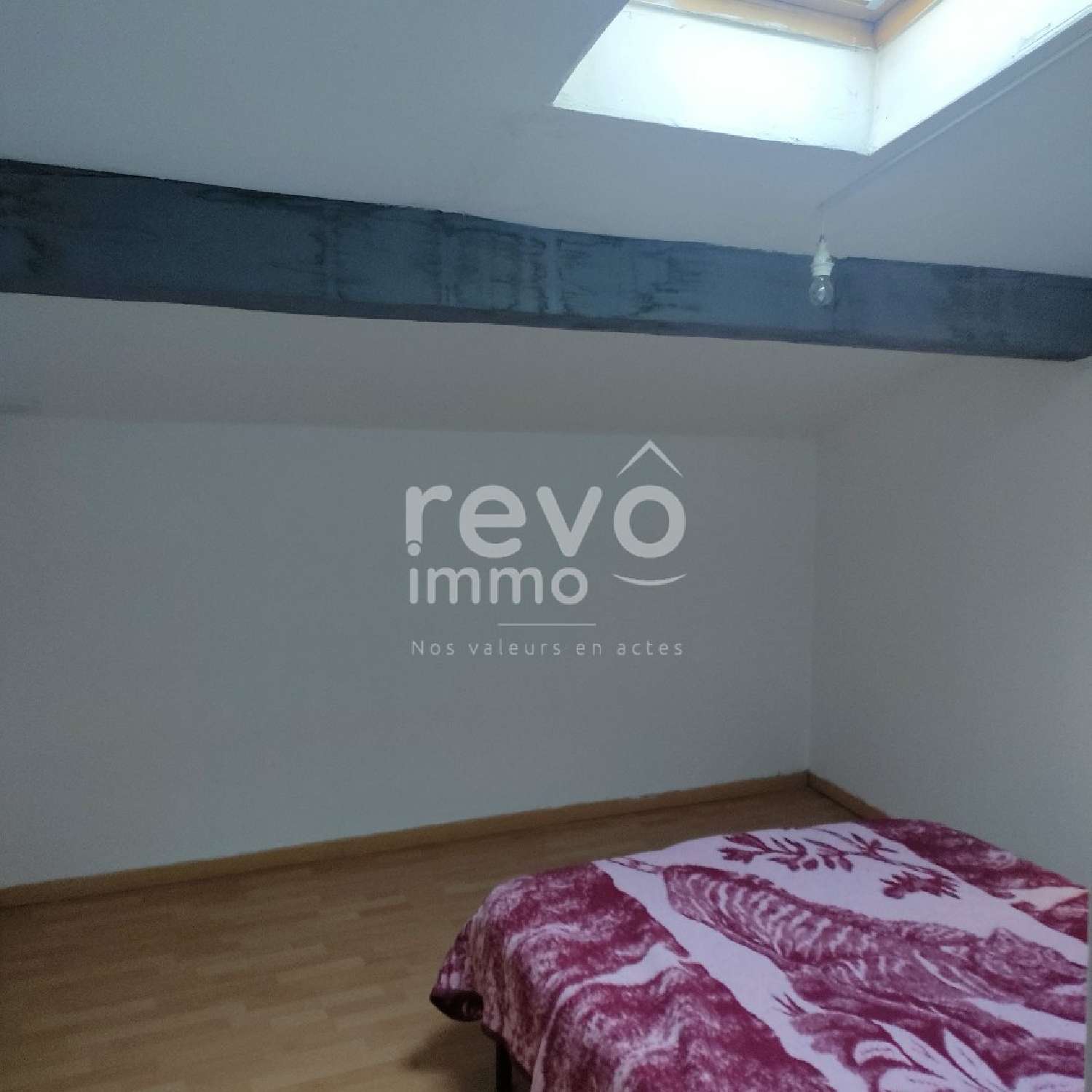  te koop huis Saint-Pargoire Hérault 8