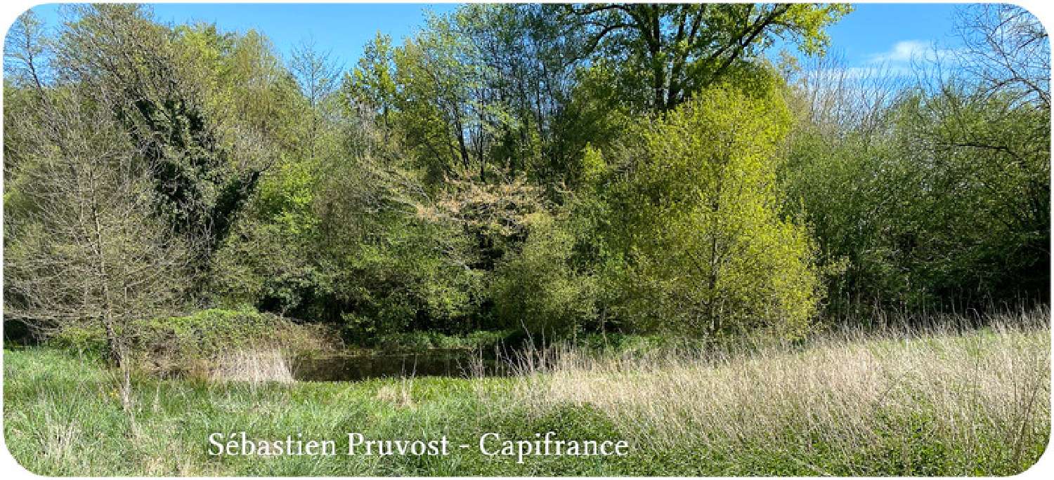  te koop huis Saint-Paul-la-Roche Dordogne 6