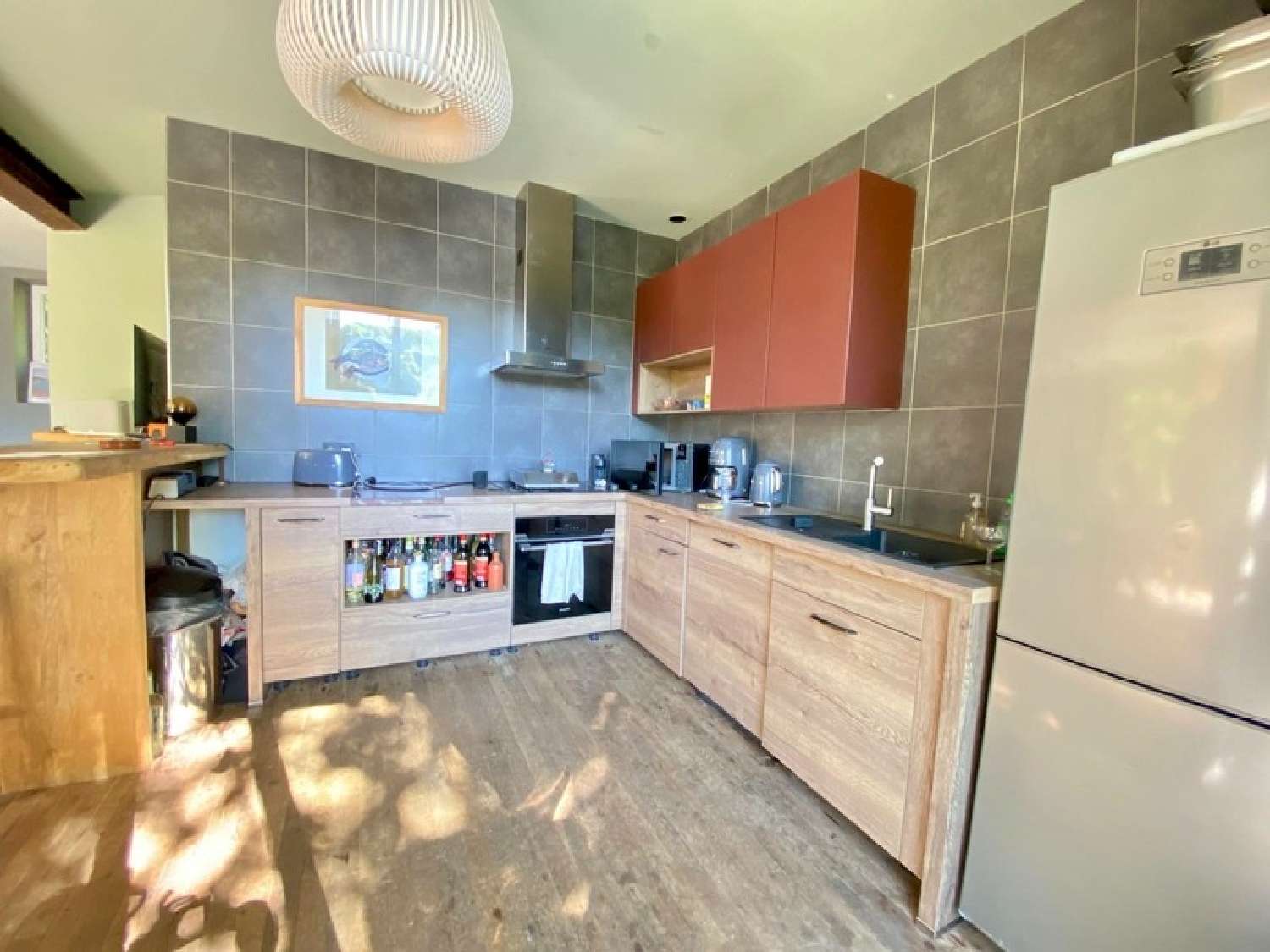  à vendre maison Saint-Plantaire Indre 7