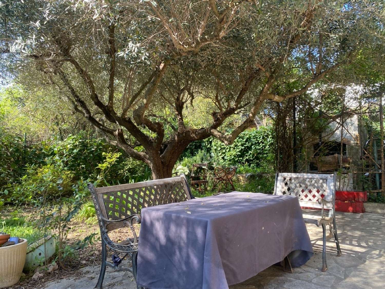  te koop huis Saint-Privat-des-Vieux Gard 7