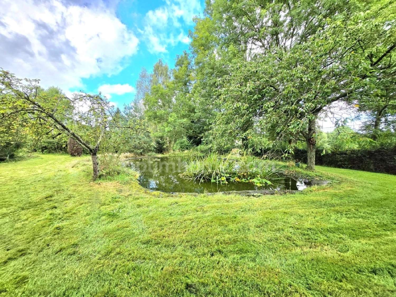  te koop huis Saint-Saire Seine-Maritime 4