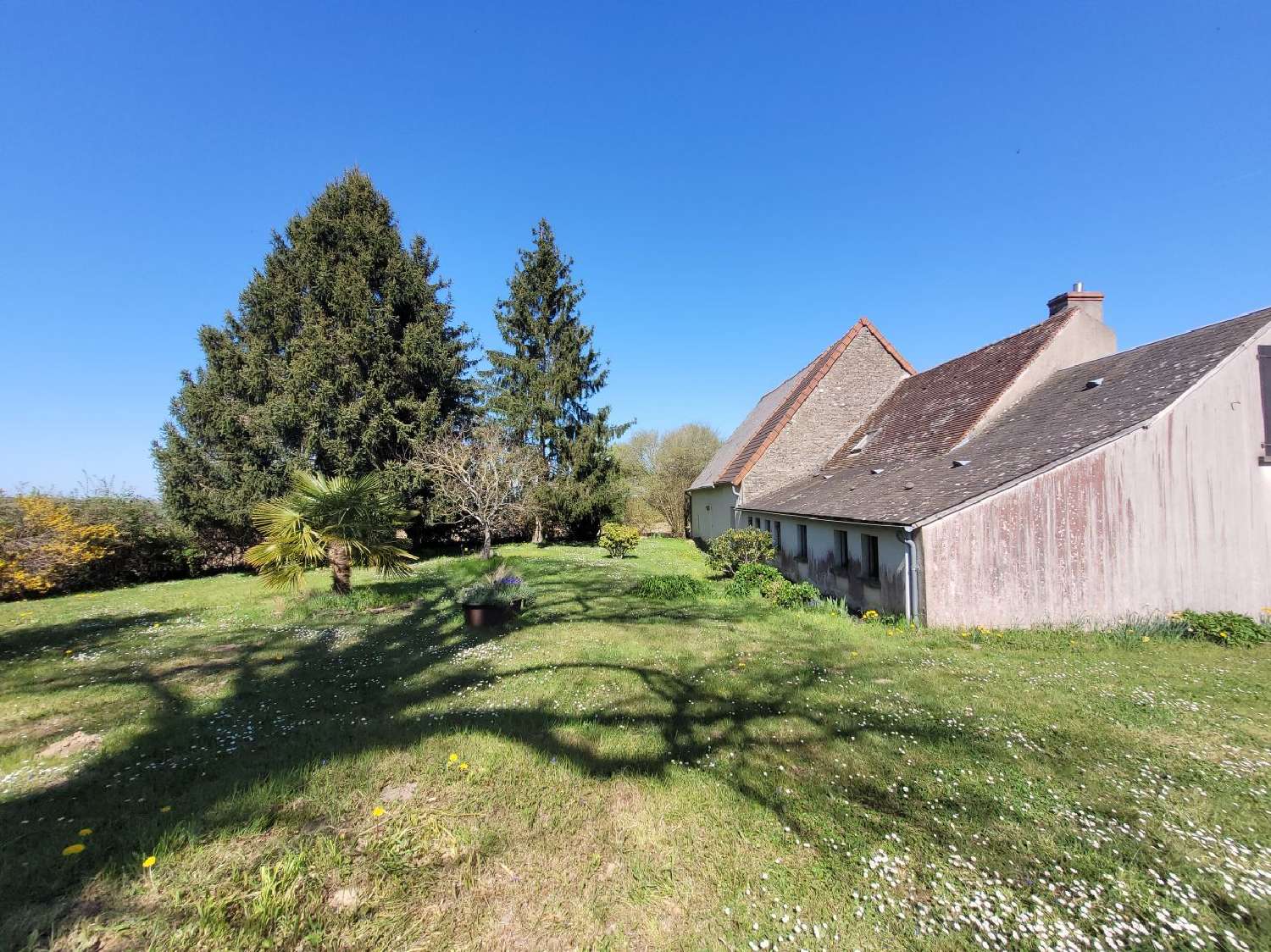  kaufen Haus Saint-Sauvier Allier 2
