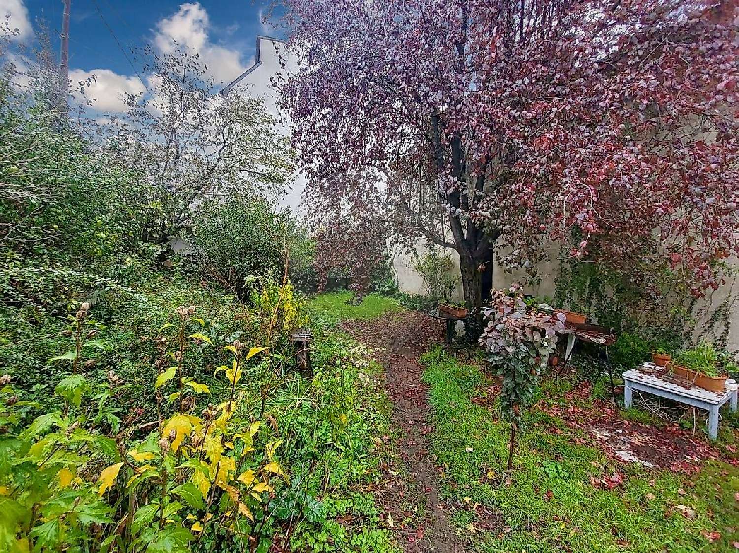  te koop huis Saint-Sébastien-sur-Loire Loire-Atlantique 1