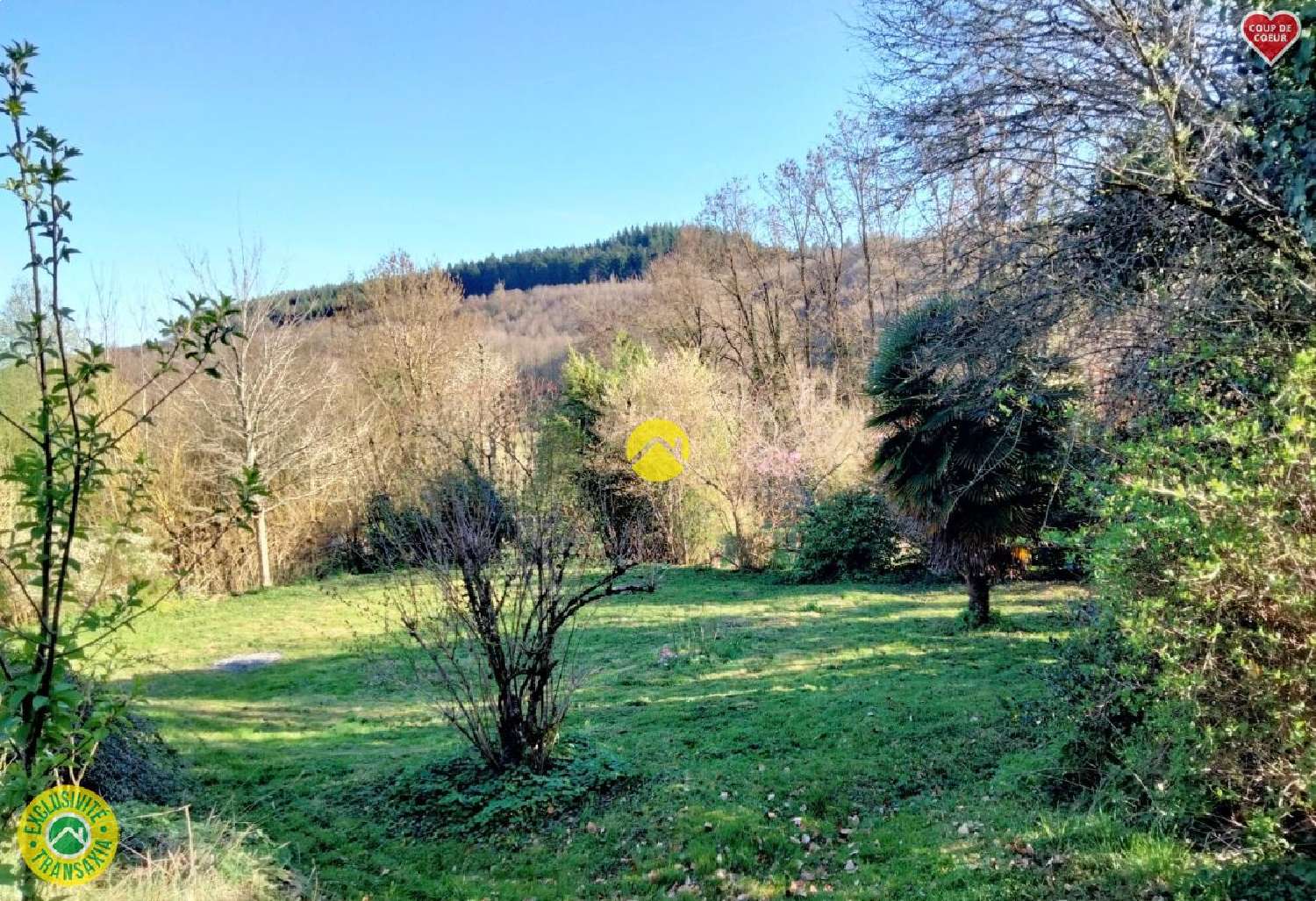  for sale house Saint-Sulpice-le-Guérétois Creuse 3