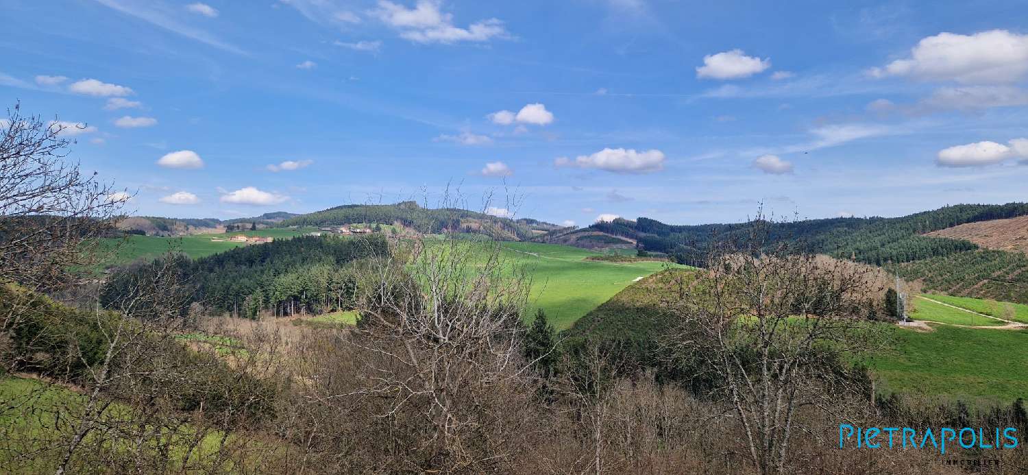  en venta casa Saint-Vincent-de-Reins Rhône 3