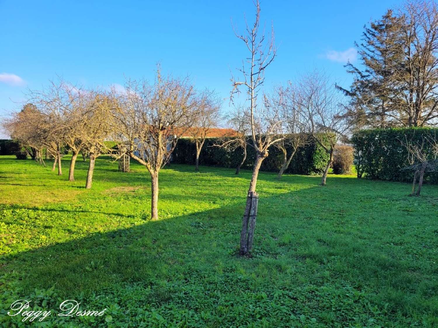  te koop huis Saint-Xandre Charente-Maritime 2