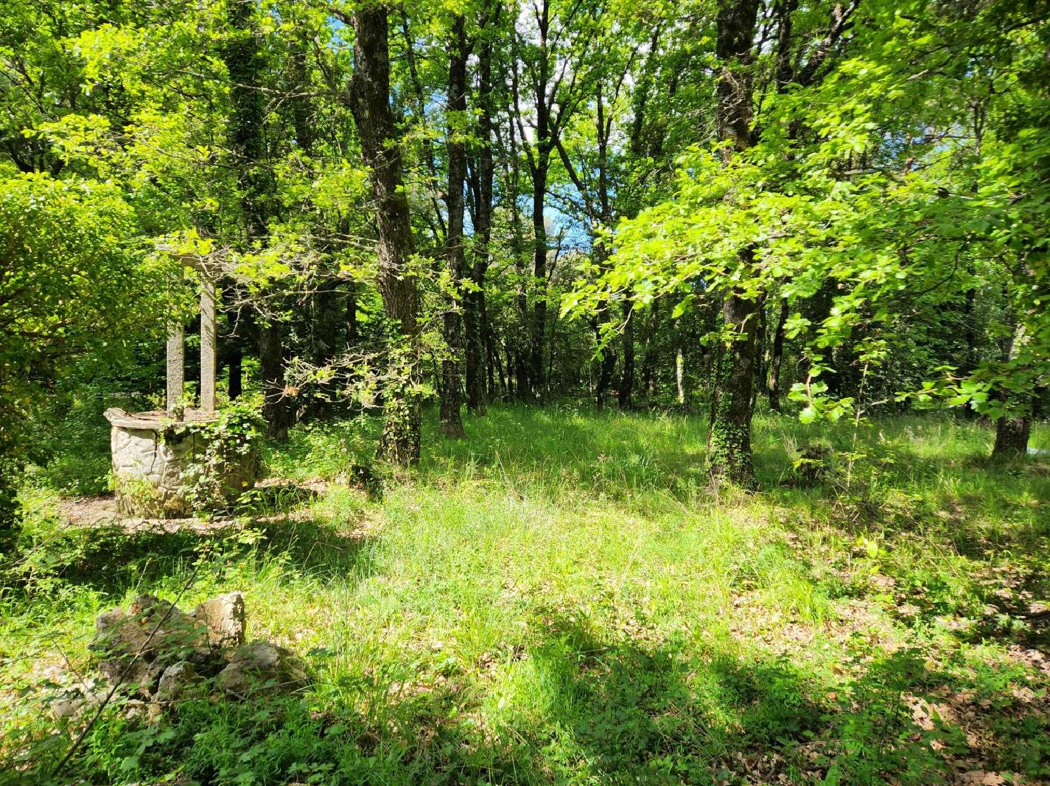  à vendre maison Saint-Zacharie Var 5